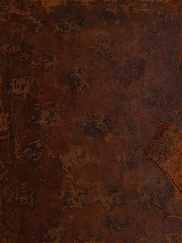 digitised image 1