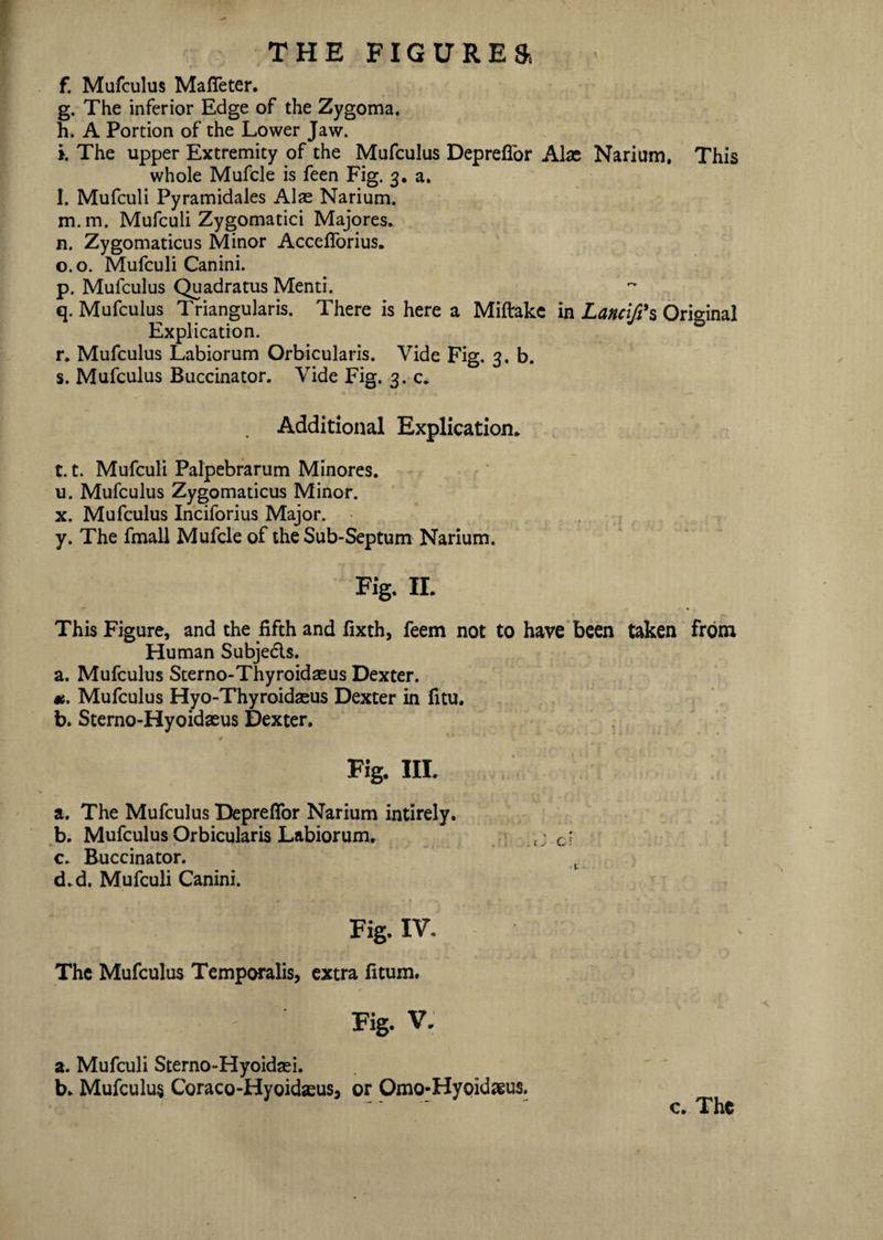 f. Mufculus Mafieter. g. The inferior Edge of the Zygoma. h. A Portion of the Lower Jaw. i. The upper Extremity of the Mufculus Deprefior Alae Narium. This whole Mufcle is feen Fig. 3. a. l. Mufculi Pyramidales Alas Narium. m. m. Mufculi Zygomatici Majores. n. Zygomaticus Minor Acceflorius. o. o. Mufculi Canini. p. Mufculus Quadratus Menti. q. Mufculus Triangularis. There is here a Miftake in Lancifi's Original Explication. r. Mufculus Labiorum Orbicularis. Vide Fig. 3. b. s. Mufculus Buccinator. Vide Fig. 3. c. Additional Explication. 1.1. Mufculi Palpebrarum Minores. u. Mufculus Zygomaticus Minor. x. Mufculus Inciforius Major. y. The fmall Mufcle of the Sub-Septum Narium. Fig. II. This Figure, and the fifth and fixth, feem not to have been taken from Human Subjects. a. Mufculus Sterno-Thyroidaeus Dexter. «. Mufculus Hyo-Thyroidaeus Dexter in fitu. b. Sterno-Hyoidaeus Dexter. 4 ' V Fig. III. a. The Mufculus Deprefior Narium intirely. b. Mufculus Orbicularis Labiorum. c. Buccinator. d. d. Mufculi Canini. Fig. IV. The Mufculus Temporalis, extra fitum. Fig. V. a. Mufculi Sterno-Hyoidsei. b. Mufculus Coraco-Hyoidaeus, or Omo-Hyoidaeus. c. The