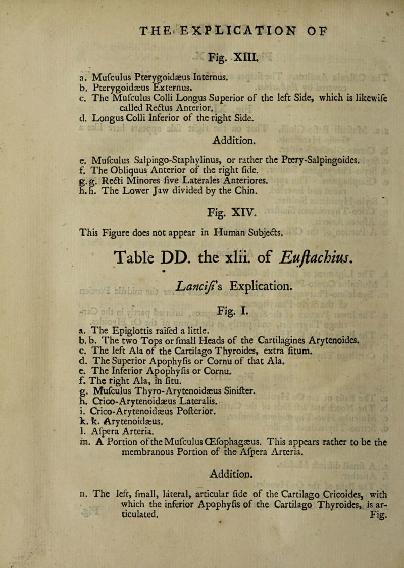 Fig. XIII. a. Mufculus Pterygoidaeus Internus. b. Pterygoidaeus Externus. c. The Mufculus Colli Longus Superior of the left Side, which is likewifc called Redtus Anterior. d. Longus Colli Inferior of the right Side. Addition. e. Mufculus Salpingo-Staphylinus, or rather the Pcery-Salpingoides, f. The Obliquus Anterior of the right fide. g. g. Redti Minores five Laterales Anteriores. h. h. The Lower Jaw divided by the Chin. Fig. XIV. This Figure does not appear in Human Subjects. Table DD. the xlii. of Euflachius. Lanciji's Explication. Fig. I. a. The Epiglottis raifed a little. b. b. The two Tops orfmall Heads of the Cartilagines Arytenoides. c. The left Ala of the Cartilago Thyroides, extra fitum. d. The Superior Apophyfis or Cornu of that Ala. e. The Inferior Apophyfis or Cornu. f. The right Ala, in fitu. g. Mufculus Thyro-Arytenoidaeus Sinifter. h. Crico-Arytenoidaeus Lateralis. i. Crico-Arytenoidaeus Pofterior. k. k. Arytenoidseus. l. Afpera Arteria. m. A Portion of the Mufculus CEfophagaeus. This appears rather to be the membranous Portion of the Afpera Arteria. Addition. n. The left, fmall, lateral, articular fide of the Cartilago Cricoides, with which the inferior Apophyfis of the Cartilago Thyroides,. is ar¬ ticulated. Fig.
