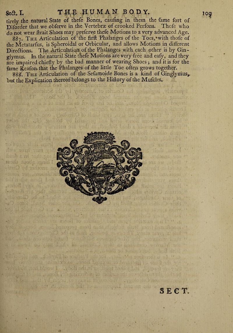 Sea. I. TH^ PUMAN BODY. tirely the natural State of thefe Bones, caufing in them the fame fort of Diforder that we obferve in the Vertebrae of crooked Perfons. Thefe who do not wear ftrait Shoes may preferve thefe Motions to a very advanced Age. 887. The Articulation of the firft Phalanges of the Toes,'with thofe of the Metatarfus, is Spheroidal or Orbicular, and allows Motions in different Diredlions. The Articulation; of the Phalanges with each other is by Gin- glymus. In the natural State thefe Motions are very free and eafy, and they are impaired chiefly by the bad manner of wearing Shoes ; and it is for the fame Reafon. that the Phalanges of the little Toe often grows together. 888. Th.e Articulation of the Sefamoide Bones is a kind of Ginglymus* but the Explication thereof belongs to the Hiftory of the Mufcles. v ■ ' ti } J i ’. ; i.'. ii • : ■ c* ■ • - 1 ■ • ■ ‘ SECT. / \