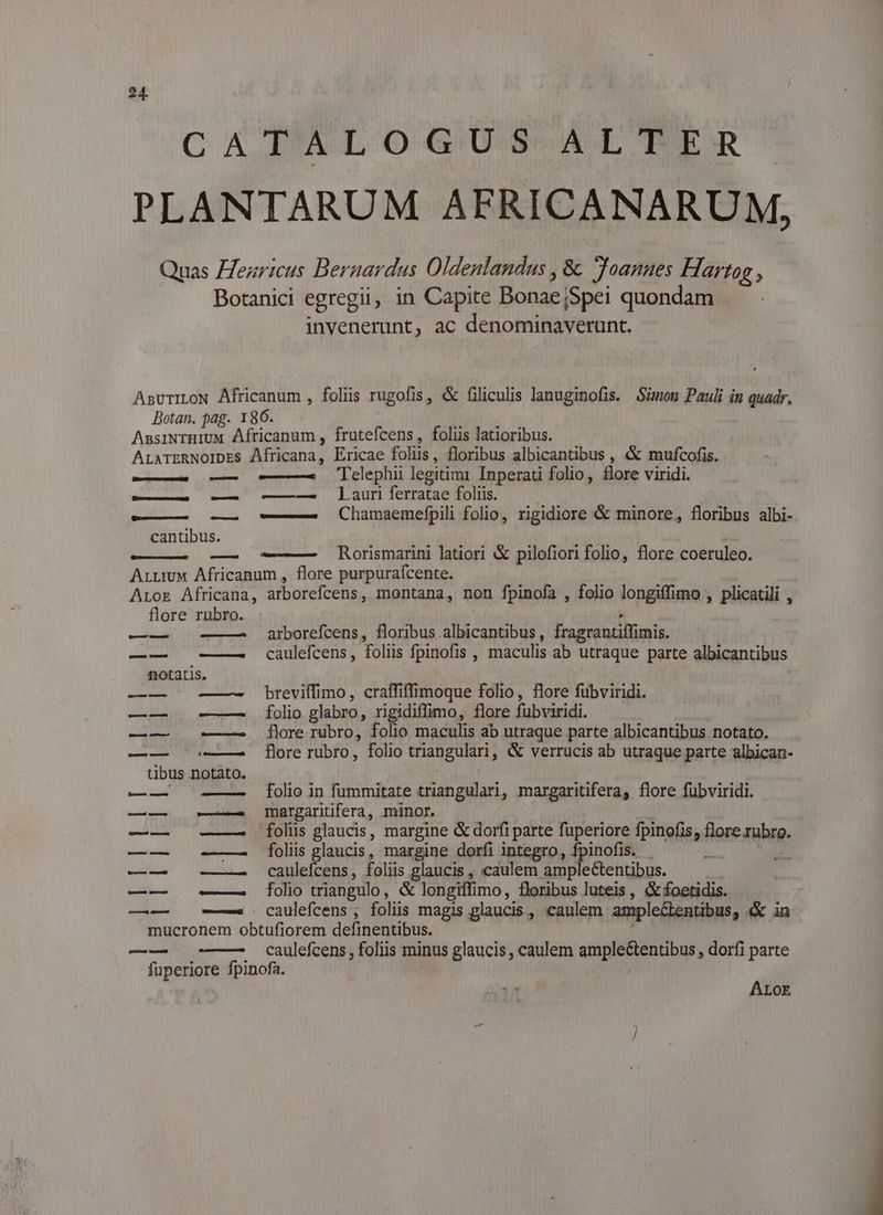 CATALOGUS WE BER PLANTARUM AFRICANARUM, Quas Hearicus Bernardus Oldenlandas , &amp; Joannes Hartag , Botanici egregii, in Capite Bonae iSpei quondam invenerunt, ac denominaverunt. AsuriLoN Africanum , foliis rugofis, &amp; filiculis lanuginofis. Simon Pauli in quadr, Botan. pag. 186. AssiNTHIUM Africanum , frutefcens, foliis latioribus. ALATERNOIDES Africana, Ericae folis, floribus albicantibus , &amp; mufcofis. —— — —— 'Telephii legitimi Inperati folio, flore viridi. — ——» Lauri lerratae folis. Chamaemefpili folio, rigidiore &amp; minore, floribus albi- uim Loss] cantibus. — ——— Rorismarini latiori &amp; pilofiori folio, flore coeruleo. ArLLImUx Africanum , flore purpurafcente. ALor Africana, arborefcens, montana, non fpinofa , folio longiffimo , plicatili , flore rubro. ; —-— —— arborefcens, floribus albicantibus, fragrantiffimis. —— -—— caulefcens, foliis fpinofis , maculis ab utraque parte albicantibus notatis. | ——- breviffimo, craffiffimoque folio, flore fubviridi. ——— Íolio glabro, rigidiffimo, flore fubviridi. —— | ———. dlore rubro, folio maculis ab utraque parte albicantibus notato. ——— flore rubro, folio triangulari, &amp; verrucis ab utraque parte albican- tibus notato. folio in fummitate triangulari, margaritifera, flore fübviridi. ——. margaritifera, minor. ——— folüs glaucis, margine &amp; dorfi parte fuperiore fpinofis, flore rubro. ——— foliis glaucis, margine dorfi integro, fpinofis. ^if —— -——. caulefcens, foliis glaucis , caulem amplectentibus. ——— folio triangulo, &amp; longiffimo, floribus luteis , &amp; foetidis. ——^ caulefcens ; folis magis glaucis, caulem amplectentibus, &amp; in mucronem obtufiorem definentibus. | : caulefcens , foliis minus glaucis , caulem amplectentibus , dorfi parte fuperiore fpinofa. ALoE
