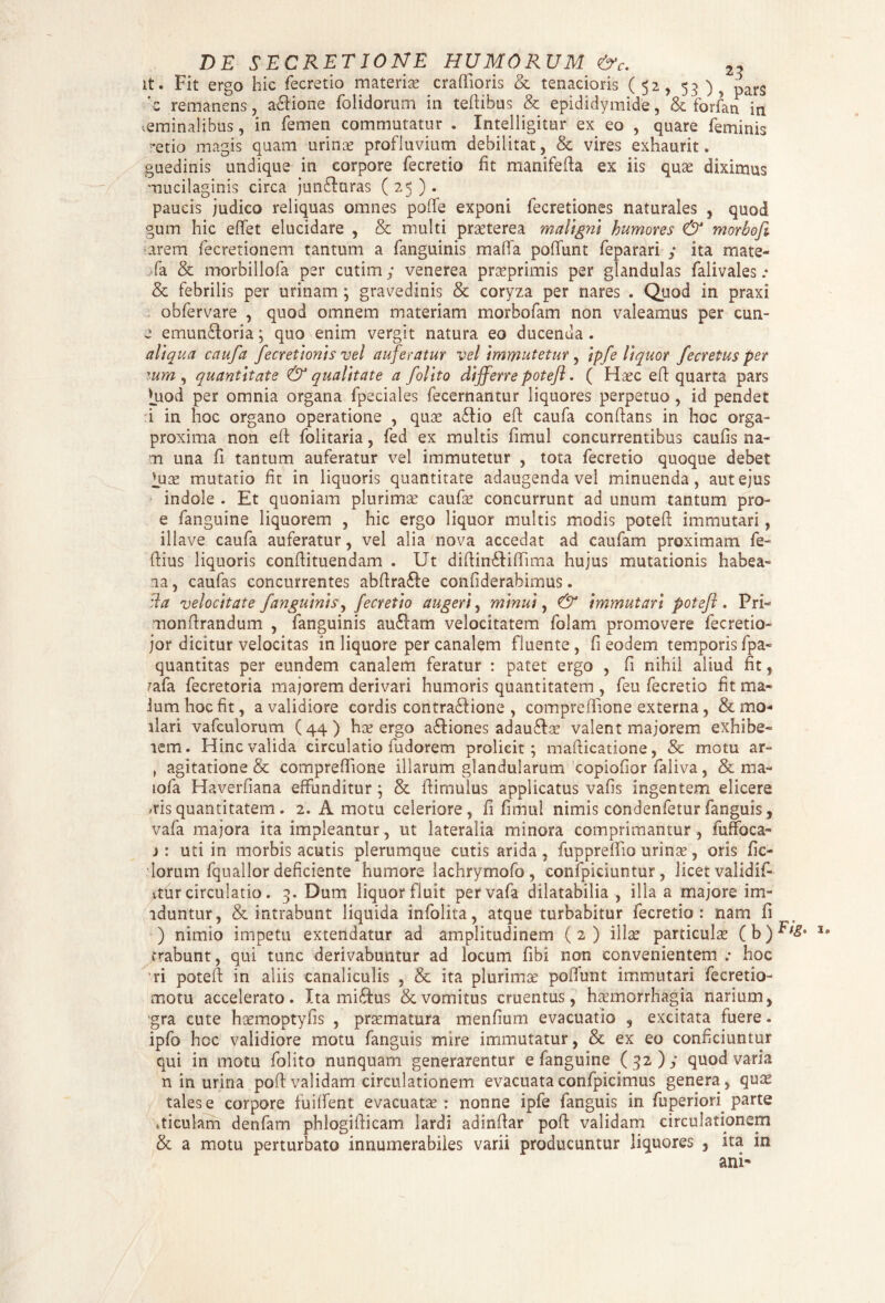 it. Fit ergo hic fecretio materias craftioris & tenacioris (52, 53 )5 pars *.c remanens , a&ione folidorum in teftibus & epididymide, & forfarx in ominalibus, in femen commutatur . Intelligitar ex eo , quare feminis ^etio magis quam urino profluvium debilitat, & vires exhaurit. guedinis undique in corpore fecretio fit manifefta ex iis quo diximus mucilaginis circa junfluras (25). paucis judico reliquas omnes poffe exponi fecretiones naturales , quod gum hic effet elucidare , & multi proterea maligni humores & morbofi arem fecretionem tantum a fanguinis maffa poffunt feparari ; ita mate- fa & morbillofa per cutim; venerea proprimis per glandulas falivales .• & febrilis per urinam ; gravedinis & coryza per nares . Quod in praxi obfervare , quod omnem materiam morbofam non valeamus per cun- e emun£loria; quo enim vergit natura eo ducenda. aliqua caufa fecretionis vel auferatur vel immutetur , ipfe liquor fecretus per wm , quantitate & qualitate a folito differre potefl. ( Haec eft quarta pars Juod per omnia organa fpeciales fecernantur liquores perpetuo, id pendet :i in hoc organo operatione , quae a£fio eft caufa conflans in hoc orga- proxima non eft folitaria, fed ex multis fimul concurrentibus caufis na¬ ni una fi tantum auferatur vel immutetur , tota fecretio quoque debet lux mutatio fit in liquoris quantitate adaugenda vel minuenda, aut ejus indole . Et quoniam plurimae caufae concurrunt ad unum tantum pro- e fanguine liquorem , hic ergo liquor multis modis potefl immutari, illave caufa auferatur, vel alia nova accedat ad caufam proximam fe- ftius liquoris conflituendam . Ut diftintftiftima hujus mutationis habea- na, caufas concurrentes abftra&e confiderabimus. da velocitate fanguinis, fecretio augeri, minui, & immutari potefl. Pri- monftrandum , fanguinis au£lam velocitatem folam promovere fecretio- jor dicitur velocitas in liquore per canalem fluente , fi eodem temporis fpa- quantitas per eundem canalem feratur : patet ergo , fi nihil aliud fit, rafa fecretoria majorem derivari humoris quantitatem , feu fecretio fit ma¬ lum hoc fit, a validiore cordis contra&ione , compreflione externa, &mo* ilari vafculorum (44) has ergo a£liones adau£Ee valent majorem exhibe¬ rem. Hinc valida circulatio fudorem prolicit; maflicatione, & motu ar- , agitatione & compreflione illarum glandularum copiofior faliva, & ma- iofa Haverfiana effunditur; & flimulus applicatus vafis ingentem elicere »risquantitatem . 2. A motu celeriore, fi fimul nimis condenfeturfanguis, vafa majora ita impleantur, ut lateralia minora comprimantur , fuffoca- i: uti in morbis acutis plerumque cutis arida , fuppreffio urinas, oris lic¬ iorum fquallor deficiente humore lachrymofo, confpiciuntur, licet validif- itur circulatio. 3. Dum liquor fluit per vafa dilatabilia , illa a majore im- nduntur, & intrabunt liquida infolita, atque turbabitur fecretio: nam fi ) nimio impetu extendatur ad amplitudinem ( 2 ) illae particulas ( b) u trabunt, qui tunc derivabuntur ad locum libi non convenientem .• hoc ri poteft in aliis canaliculis , & ita plurimae poliunt immutari fecretio- motu accelerato. Ita miftus & vomitus cruentus, haemorrhagia narium, gra cute hasmoptyfis , praematura menfium evacuatio , excitata tuere. ipfo hoc validiore motu fanguis mire immutatur, & ex eo conficiuntur qui in motu folito nunquam generarentur e fanguine (32); quod varia n in urina poft validam circulationem evacuataconlpicimus genera, quas tales e corpore fuiffent evacuatas: nonne ipfe fanguis in fuperiori parte iticulam denfam phlogifticam lardi adinftar poft validam circulationem & a motu perturbato innumerabiles varii producuntur liquores , ita in ani*