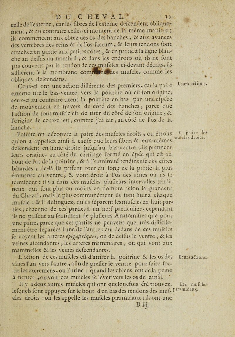 celle de l’externe , caries fibres de l'externe defeendent oblique¬ ment , 6c au contraire celles-ci montent de la même manière 5 ils commencent aux cotez des os des hanches, 6c aux avances- des vertèbres des reins 6c de l’os facrum, 6c leurs tendons font attachez en partie aux petites côtes, 6c en partie à la ligne blan¬ che au de dus du nombril 5 6c dans les endroits ou ils ne font pas couverts par le tendon de cesmufclcs ci-devant décrits, ils adhèrent à la membrane comflfeidÉdes mufcles comme les obliques defeendans. Ceux-ci ont une adion différente des premiers, caria paire externe tire le bas-ventre vers la poitrine oit etl fon origine; ceux-ci au contraire tirent la poitrine en bas par uneefpécc de mouvement en travers du côté des hanches, parce que l’adion de tout mufcle eft de tirer du côté de ion origine, 6c l’origine de ceux-ci eft, comme j’ai dit, au côté de l’os de la. hanche. Enfuitc on découvre la paire des mufcles droits , ou étroits qu’on a appeliez ainfi à caufe que leurs fibres 6c eux-mêmes defeendent en ligne droite jufq.u’au bas-ventre ; ils prennent leurs origines au côté du cartilage formé en épée qui eft au bout de l*os de la poitrine , 6c à l’extrémité tendineufe des côtes bâtardes ; de-là ils paffent tout du long de la partie la plus éminente du ventre, 6c vont droit à l’os des aines où ils le terminent : il y a dans ces mufcles plufieurs intervalles tendi¬ neux qui font plus ou moins en nombre félon la grandeur du Cheval, mais le plus communément ils font huit à chaque mufcle : 6c fi diftinguez, qu’ils féparent les mufcles en huit par¬ ties ; chacune de ces parties à un nerf particulier, cependant ils ne palïcnt au fentiment de plufieurs Anatomiftes que pour une paire, parce que ces parties ne peuvent que très-difficile¬ ment être iéparées l’une de l’autre : au dedans de ces mufcles fe voyent les artères épigafîriques-, ou de de if us le ventre , 6c les veines afeendantes, les arteres mammaires , ou qui vent aux mammclles 6c les veines defeendantes. L’adion de cesmufclcs eft d’attirer la poitrine 6c les os des aines l’un vers l’autre , afin de preftér le ventre pour faire for- tir les excrcmcns, ou l’urine : quand les chiens ont de la peine à fienter , on voit ces mufcles fe lever vers les os du canal. Il y a deux autres mufcles qui ont quelquefois été trouvez, lefquels font appuyez fur le bout d’en bas des tendons des muf- eles droits : on les appelle les mufcles piramidaux ; ils ont une B iij Leurs aâions^ La (paire des mufcles droits. Leurs avions* Les mufcles piramidaux,-