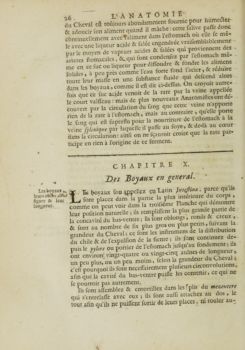 du Cheval eft toujours abondamment fournie pour htimeaer tadoucir fon aliment quand le avec une uqucu■ - & { {é ; proviennent des * par le moyen de vapeurs aciaet>>* _ ,vaArmrh me- - arteres ftomacales, dequi font condenfez par ftomach me np en ce fuc ou liqueur pour diffoudre & fondre les anmens folides, à peu près comme l’eau forte fond lacicr , & réduire ' tonte leur maffe en une fubftance fluide qui defeend alors dans les boyaux , comme il eft dit ci-deffus. On croyo.t au e- - fois que ce Vue acide venoit de la rate . le court vaiffeau: mais de plus nouveaux Anatomiltes ont de couvert par la circulation du fang que cette veine  aPP°r rien de h rate à l’cftomach, mais au le faner nui eft fuperflu pour la nourriture de leftomach a la veine ffemque pa? laquelle il paffe au foye, & de-la au cœur dans la circulation: ainfi on ne fçauroit croire que la rate par îicipe en rien à 1 origine de ee ferment* y- ligure & leur longueur» CHAPITRE Des Bojaux en general. . * les boyaux^ TT.. -fc h©yaux fou appeliez çn Latin Jntçftint, parce qu ils leurs fon lcez dansla partie la plus intérieure du corps , onP peut voir dans^la troifiéme Planche qui démontré leur pofition naturelle ; ils rempliffent la plus S^nde partie de. la concavité du bas-ventre; Us font oblongs, ronds & creux , , & font au nombre de fix plus gros ou plus petits, fuivant la grandeur du Cheval; ce font les inftrumensde la diftnbution lu chile & de l’expulfion de la fiente ; ils font continuez d -- cuis le pylore ou portier de l’eftomach >ufqu au fondement, ils onVenviron; vinjt-quatre ou vingt-cinq aulnes de longueur, un peu plus, ou un peu moins , félon la grandeur du eva , c’elf pourquoi ils font neceffairement plulieurs circonvolutions , afin qPue h cavité du bas-ventre puiffe les contenu, ee qui ne fe pourroit pas autrement. _ , Ils font affemblez & entortillez dans les : plis du mezentere qui s’cntrelaffe avec eux ; ils font auffi attachez au dos le tout afin qu’ils ne puiffent fortir de leurs places, m rouler au-