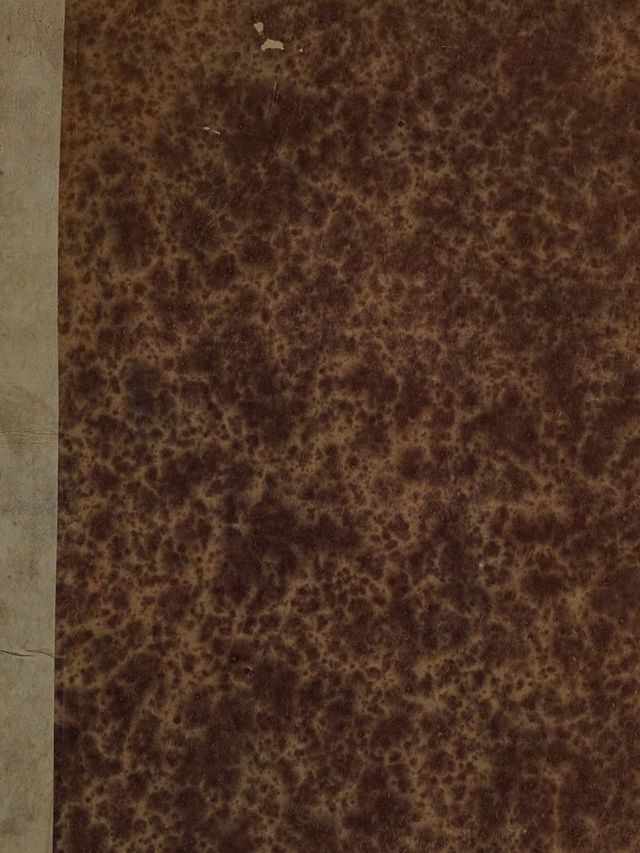 digitised image 1