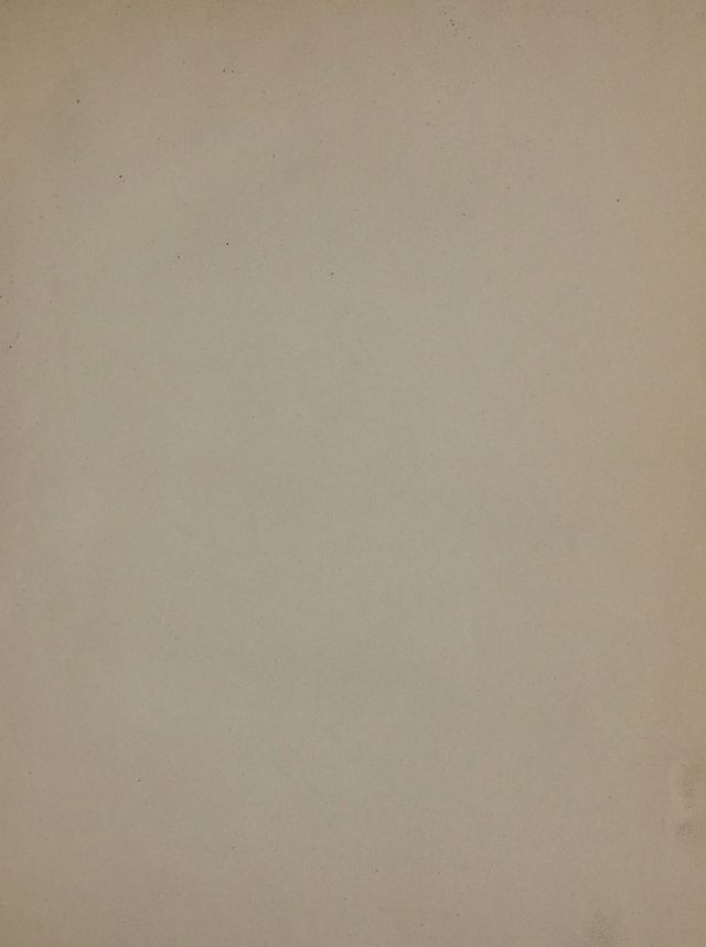 digitised image 3