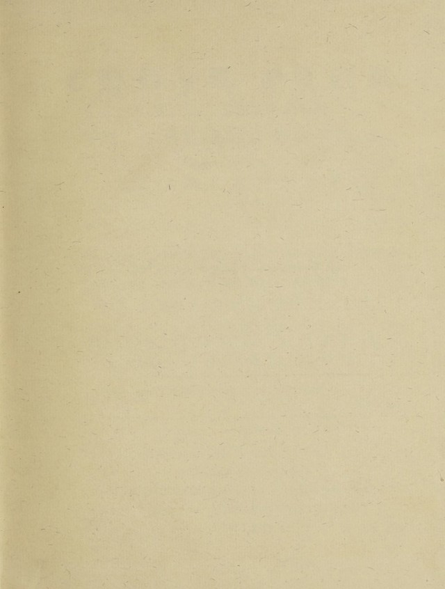 digitised image 3