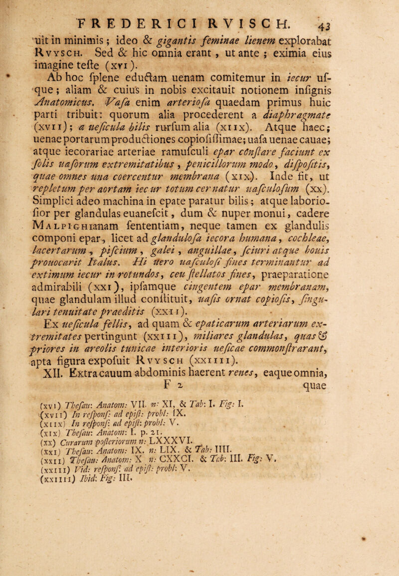 uit in minimis; ideo & giganfts feminae lienem explorabat Rvysch. Sed & hic omnia erant, ut ante ; eximia eius imagine tefte (xn). Ab hoc fplene eduftam uenam comitemur in iecur uf- que; aliam & cuius in nobis excitauit notionem infignis Anatomicas. Aafiz enim arter iofa quaedam primus huic parti tribuit: quorum alia procederent a diaphragmate (xvii); a ueficula hilis rurfum alia (xiix). Atque haec; uenae portarum produftiones copiofiffimae;uafauenaecauae; atque iecorariae arteriae ramufculi epar cdnfiare faciunt ex fio lis uafiorum extremitatibus , penicillorum modo, difipofiti$> quae omnes una coercentur membrana (xix). Inde fit, ut ■repletumper aortam iecur totum cernatur uafculofum (xx)e Simplici adeo machina in epate paratur bilis; atque laborio. fior per glandulas euanefcit, dum & nuper monui, cadere MALPiGHianam fententiam, neque tamen ex glandulis componi epar , licet ad glandulofa iecora humana ^ cochleae, lacertarum , pifcium , galei , anguillae, fciuri atque bouis prouocarit Italus. Ai aero uaficulofi fines terminantur ad extimum iecur in rotundos ceu fiellatos fines, praeparatione admirabili (xxi), ipfamque cingentem epar membranam, quae glandulam illud conflituit, uafis ornat copiofis, fingu- lari tenuitate praeditis (xxi i). Ex ueficula fellis, ad quam & epaticarum arteriarum ex- tremitates pertingunt (xxm), miliares glandulas, quas^S priores in areolis tunicae interioris ueficae commonfirarant, apta figura expofuit Rvysch (xxi i i i). XII. Extracauumabdominis haerent renes, eaqueomnia, F 2 quae (xv i) Thefau: Anatoni: VII. n'- XI, & Tab: I. F'ig: I. (xvi i) In refponf: ad epifl: probi: IX. (xiix) In refponf. ad epifl: probi: V. (xix) Thefau: Anatoni: I. p. 21. Curarum pofteriorum.n:.LXXXVI. (xxi) The [au: Anatoni: IX. n: LIX. & Tab: IUI- (xxii) Thefau: Anatoni: X _ n: CXXGI. & T(.b: III. Fig: 'V . (xxi 11) Vid: refponf. ad epifl: probi: V. (xx 1111) Ibid: Fig: III*