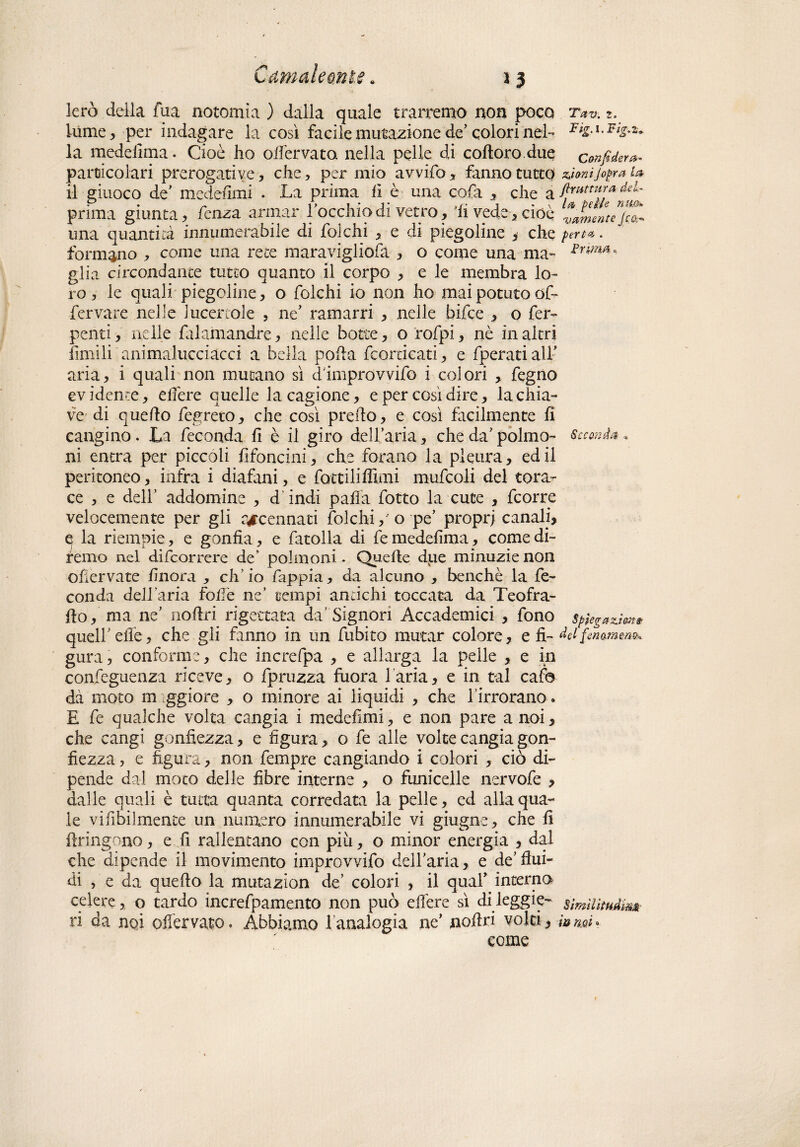 lerò della fua notomia ) dalla quale trarremo non poco t*v. lume, per indagare la così facile mutazione de’colori nel- la medefima. Cioè ho odèrvato. nella pelle di coftoro due confiderà particolari prerogative , che, per mio avvifo , fanno tutto ùmijofra u il giuoco de' mede/imi . La prima lì è una cofa , che a prima giunta, fenza armar rocchio di vetro, li vede, cioè una quantità innumerabile di foichi , e di piegoline , che pert*. formano , come una rete maravigliofa , o come una ma- i>w4°- glia circondante tutto quanto il corpo , e le membra lo¬ ro , le quali piegoline, o foichi io non ho mai potuto off fervare nelle lucertole , ne’ ramarri , nelle bifce , o fer- penti, nelle fialamandre, nelle botte, o rofpi, nè in altri limili animalucciacci a bella polla fcorticati, e fperati alf aria, i quali non mutano sì d'improvvifo i colori , fegno ev ideate, edere quelle la cagione, e per così dire, la chia¬ ve di quello fegreio, che così predo, e così facilmente lì cangino. La feconda fi è il giro dell’aria, che da’ polmo- Seconda „ ni entra per piccoli fifoncini, che forano la pleura, ed il peritoneo, infra i diafani, e fottiliffimi mufcoli del tora^ ce , e dell’ addomine , d indi palla fotto la cute , feorre velocemente per gli accennati foichi, o pe’ propri canali, q la riempie, e gonfia, e fatolla di femedefima, comedi- remo nel dìfeorrere de’ polmoni. Quelle due minuzie non ofiervate finora , eh’ io fappia, da alcuno , benché la fe¬ conda delfaria folle ne’ tempi amichi toccata da Teofra- ilo, ma ne’ nodri rigettata da’Signori Accademici , fono spiegava» queir elle, che gli fanno in un Libito mutar colore, eli - del fonammo* gura, conforme, che increfpa , e allarga la pelle , e in confeguenza riceve, o fpruzza fuora l'aria, e in tal cafo dà moto m ggiore , o minore ai liquidi , che l’irrorano-. E fe qualche volta cangia i medefimi, e non pare a noi, che cangi gonfiezza, e figura, o fe alle volte cangia gon¬ fiezza , e figura, non fempre cangiando i colori , ciò di¬ pende dal moto delle fibre interne , o funicelle nervofe , dalie quali è tutta quanta corredata la pelle, ed alla qua¬ le vifibilmente un numero innumerabile vi ghigne, che fi dringono, e fi rallentano con più, o minor energia , dal che dipende il movimento improvvido dellaria, e de’dui- di , e da quedo la mutazion de’ colori , il qual* interna celere, o tardo increfpamento non può edere sì di leggie- SìmllìtuÀim- ri da nqi offervato* Abbiamo l’analogia ne’ nodri volti, ìomi> come