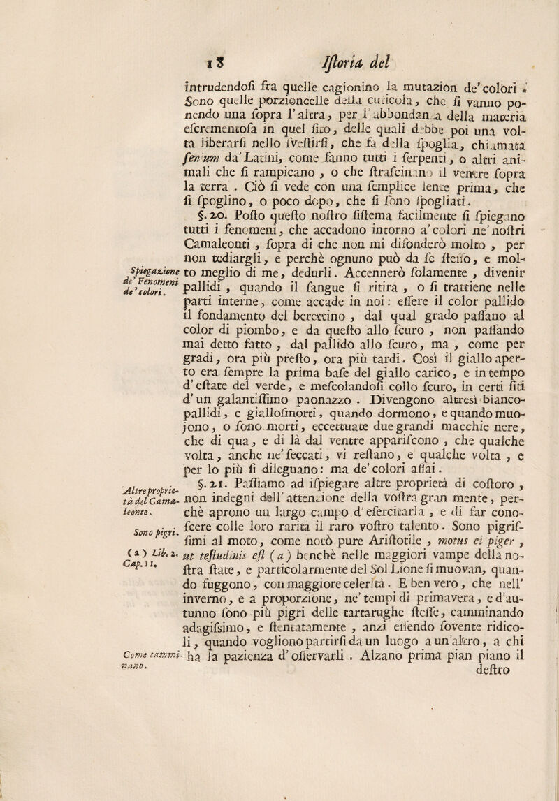 Spiegazione de’ Fenomeni de’ colori* Altre proprie- td del Cama¬ leonte . Sono pigri: ( a ) Lìb. 2* Cap, s i. Come fammi nano. 15 Ifioria, del intrudendo/! fra quelle cagionino la mutazion de* colori £cno qudle porzioncelle della cuticola, che fi vanno po¬ nendo una fopra l’ altra, per 1 abbondanza della materia eferementofa in quel fico, delle quali debbe poi una vol¬ ta liberarli nello fveftirfi, che fa della fpoglia, chiamata fen um da’Latini, come fanno tutti ì ferpenti , o altri ani¬ mali che fi rampicano , o che firafeinan > il venere fopra la terra . Ciò fi vede con una femplice lente prima, che fi fpoglino, o poco dopo, che fi fono fpogliati. §. xo. Pollo quello nofiro fifiema facilmente fi /piegano tutti i fenomeni, che accadono incorno a colori ne’noiiri Camaleonti , fopra di che non mi difonderò molto , per non tediargli, e perchè ognuno può da fe fieno, e mol¬ to meglio di me, dedurli. Accennerò folamence , divenir pallidi , quando il fangue fi ritira , o fi trattiene nelle parti interne, come accade in noi : edere il color pallido il fondamento del berettino , dai qual grado padano ai color di piombo, e da quello allo feuro , non palfando mai detto fatto , dal pallido allo feuro, ma , come per gradi, ora piu prefto, ora piu tardi. Così il giallo aper¬ to era Tempre la prima bafe del giallo carico, e in tempo d’e/late del verde, e mefcolandofi collo feuro, in certi fiti d'un galantifiìmo paonazzo . Divengono altresì bianco¬ pallidi, e giallofinorti, quando dormono, e quando muo¬ iono, o fono morti, eccettuate due grandi macchie nere, che di qua, e di là dal ventre apparirono , che qualche volta, anche ne’feccati, vi refiano, e qualche volta , e per lo piu fi dileguano : ma de colori a/ìài. §, zi. Palliamo ad ifpiegare altre proprietà di cofioro , non indegni dell'attenzione della vofiragran mente, per¬ chè aprono un largo campo d'efercicarla , e di far cono- feere colle loro rama il raro vofiro talento. Sono pigrif- fimi al moto, come notò pure Arifiotile , motus et piger , ut teftudinis efl (a) benché nelle maggiori vampe della no- fira fiate, e particolarmente del Sol Lione fi muovan, quan¬ do fuggono, con maggiore celerità. E ben vero, che nell' inverno, e a proporzione, ne’ tempi di primavera, e d au¬ tunno fono piu pigri delle tartarughe ftefi'e, camminando adagifsimo, e ftentatamente , anzi elfendo fovente ridico¬ li, quando vogliono partirfi da un luogo aun’akro, a chi -ha Ja pazienza d o/iervarli . Alzano prima pian piano il deliro