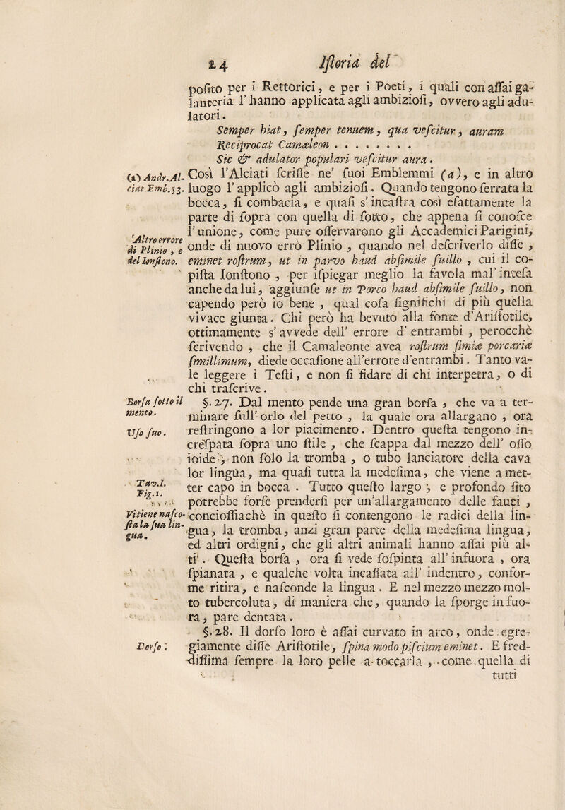 (a) Andr.AU ciatCEmb^g. \Altro errore di Plinio , e del Imftono. Èorfa Jotto il mento. Ufo fuo. , Tav.L Tig.i. \ '*■, ■ \ Vi tiene nafco- fìa la fua lin¬ gua. \ ^ v IHrfo ; 14 Ifìorid del polito per i Rettoria* e per i Poeti* i quali con affai ga¬ lanteria r hanno applicata agli ambiziofi, ovvero agli adu¬ latori . Semper hiat * femper tenuem * £#0 vefcìtur * auram Reciprocait Camtdeon ......... i'f'r eSr adulator populctri vefcitur aura . Così TAlciati fcriffe ne' Tuoi Emblemmi (4)* e in altro luogo r applicò agli ambizioff. Quando tengono ferrata la bocca* fi combacia* e quali s’incaffra cosi efattamente la parte di fopra con quella di fotte, che appena fi conofce runione* come pure oflervarono gli Accademici Parigini* onde di nuovo errò Plinio * quando nel defcriverlo diffe * eminet roflrum * ut in parvo haud abfmdie fuillo * cui il co- pifla lonftono * per ifpiegar meglio la favola mal’ intefa anche da lui* aggiunfe ut in Torco haud ab fumile fuillo* non capendo però io bene * qual cofa lignifichi di più quella vivace giunta. Chi però ha bevuto alla fonte d’Arifìotile* ottimamente s’ avvede dell’ errore d’ entrambi * perocché feri vendo * che il Camaleonte avea roflrum firn ice por carice ftmillimum, diede occafione ailerrore dentrambi. Tanto va¬ le leggere 1 Tedi, e non fi fidare di chi interpetra * o di chi traferive. §. 2.7. Dal mento pende una gran borfa * che va a ter¬ minare full'orlo del petto * la quale ora allargano * ora reflringono a lor piacimento. Dentro quella tengono in- créfpata fopra uno flile * che fcappa dal mezzo deir offe ioide -* non folo la tromba * o tubo lanciatore della cava lor lingua * ma quali tutta la medefima * che viene a met¬ ter capo in bocca . Tutto quello largo * e profondo fito potrebbe forfè prenderli per un’allargamento delle fauci * conciolTiachè in quello li contengono le radici della lin¬ gua > la tromba* anzi gran parte della medefima lingua* ed altri ordigni* che gli altri animali hanno affai più al¬ ti . Quella borfa * ora li vede fofpinta all7 infuora , ora fpianata * e qualche volta incafìata all7 indentro * confor¬ me ritira * e nafeonde la lingua . E nel mezzo mezzo mol¬ to tubercoluta* di maniera che* quando la fporge infuo¬ ra * pare dentata. > §. 28. Il dono loro è affai curvato in arco, onde. egre¬ giamente diffe Ariffotile* fpina modo pf cium eminet. Efred- di Ili iti a Tempre la loro pelle a toccarla * * come quella di c ; tutti