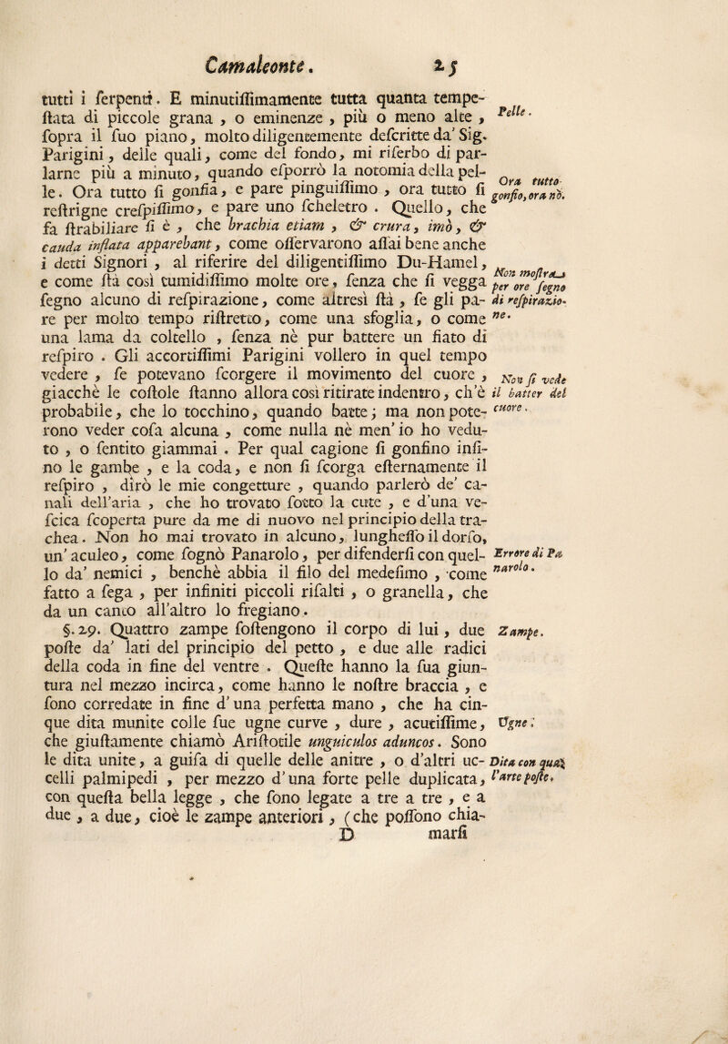 tutti i fer penti. E minutiffimamente tutta quanta tempe- ftata di piccole grana , o eminenze > più o meno alte , fopra il Tuo piano, molto diligentemente defcritte da' Sig» Parigini, deile quali, come del fondo, mi riferbo di par¬ larne più a minuto, quando efporrò la notomia della pel¬ le . Ora tutto fi gonfia, e pare pinguifiìmo , ora tutto fi reftrigne crefjpifiirno, e pare uno fcheletro . Quello, elle fa ftrabiliare fi è , che brachici etìam , & crura> imo, & cauda infìnta apparebant, come enervarono aliai bene anche i detd Signori , al riferire del diligentilìimo Du-Hamel, e come Uà così cumidiffimo molte ore , fenza che fi vegga fegno alcuno di refpirazione, come altresì Uà , fe gli pa¬ re per molto tempo riftretco, come una sfoglia, o come una lama da coltello , fenza nè pur battere un fiato di refpiro . Gli accortilfimi Parigini vollero in quei tempo vedere , fe potevano feorgere il movimento del cuore , giacché le coltole hanno allora così ritirate indentro, che probabile, che lo tocchino, quando batte ; ma non pote¬ rono veder cofa alcuna , come nulla nè men io ho vedu¬ to , o fentito giammai « Per qual cagione fi gonfino infi¬ no le gambe , e la coda, e non fi feorga diurnamente il refpiro , dirò le mie congetture , quando parlerò de ca¬ nali dell’aria , che ho trovato fiotto la cute , e d’una ve¬ llica ficoperta pure da me di nuovo nel principio della tra¬ chea. Non ho mai trovato in alcuno, lunghelìòildorfo, un' aculeo, come fognò Panarolo, per difenderli con quel¬ lo da' nemici , benché abbia il filo del medefimo , come fatto a fega , per infiniti piccoli rifalti , o granella, che da un camo all'altro lo fregiano. §. X9. Quattro zampe fofiengono il corpo di lui, due pofie da' lati del principio del petto , e due alle radici della coda in fine del ventre . Quelle hanno la fua giun¬ tura nel mezzo incirca, come hanno le noftre braccia , e fono corredate in fine d'una perfetta mano , che ha cin¬ que dita munite colle fue ugne curve , dure , acutiffime, che giuftamente chiamò Arifiotile unguiculos aduncos. Sono le dita unite, a guifa di quelle delle anitre , o d’altri uc¬ celli palmipedi , per mezzo d’una forte pelle duplicata, con quella bella legge , che fono legate a tre a tre , e a due , a due, cioè le zampe anteriori, (che poffono chia- D mari! Felle. Ora tutto gonfio, ora no. Non mofiv* ,.i per ore fegno di refpirazio- ne. Non fi vede il batter del cuore. Errore di Fa narolo. Zampe. Ugnei Dita con qua\ Vane pofie.