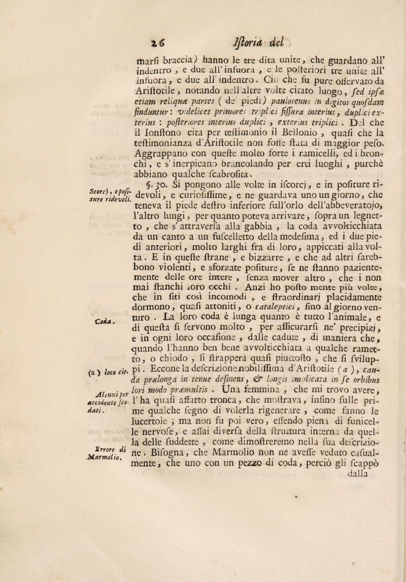 marli braccio.) hanno le ere dita unite, che guardano alF indentro * e due all’infuora , e le polteriori ere uni de alF infuora, e due all indentro. Ciò che fu pure offervato da Aridotile, notando nell altre volte citato luogo, feci ipf'<& etiam reliquie partes ( de piedi ) paulotenus in digitos quofdam finduntur : zndelicet primores triplici fiffura intèrius y duplici ex- terius : pojìenores interim duplici ■, exterius triplici . Del che il Iondono cita per tedimonio il Bellonio , quali che la tedimonianza d’Aridodle non folle data di maggior pefo. Aggrappano con quelle molto forte i ramicelli, ed i bron¬ chi , e s; inerpicano brancolando per erti luoghi , purché abbiano qualche fcabrofità» §. jo. Si pongono alle voice in ifeorej , e in politure ri- Turelldevoli devoli > e curiofiffime, e ne guardava uno un giorno, che ’ teneva il piede deliro inferiore fulForlo dellabbeveratojo, l’altro lungi, per quanto poteva arrivare, fopraun legn et¬ to , che sattraverfa alla gabbia , la coda avvolticchiata da un canto a un fufcelletto della medelìma, ed i due pie¬ di anteriori, molto larghi fra di loro, appiccati alla vol¬ ta . E in quelle llrane , e bizzarre , e che ad altri fareb- bono violenti, e sforzate politure, fe ne danno paziente- mente delle ore intere , fenza mover altro , che i non mai danchi Aoro occhi . Anzi ho podo mente piu volte, che in liti così incomodi , e draordinar; placidamente dormono, quali attoniti, o cataleptici, lino ài giorno ven- Co£a turo » La loro coda è lunga quanto è tutto laminale, e di queda li fervono molto , per aflicurarli ne' precipizi, e in ogni loro occalione , dalle cadute , di maniera che, quando Fhanno ben bene avvolticchiata a qualche ramet¬ to , o chiodo , li ftrapperà quad piuctodo , che d fvilup- (a) loco cit* pi* Eccone la defcrizionenobiliflima d’Aridotile (a), cau- da predonga in tenue defmens, & longis implicata in fe orbibus . . ^£f lori modo pramultis . Una femmina , che mi tro vo avere, uccìdente feo- F ha quali affatto tronca, che modrava, infino fulle pri- dati. me qualche fegno di volerla rigenerare , come fanno le lucertole j ma non fu poi vero, effendo piena di funicel¬ le nervofe, e affai diverfa della druttura interna da quel¬ la delle diddecte , come dìmodreremo nella fua defcrizio- 7J‘rrorf- ne. Bifogna, che Marmolio non ne aveffe veduto cafual- mente, che uno con un pezzo di coda, perciò gl 1 drappo dalla *