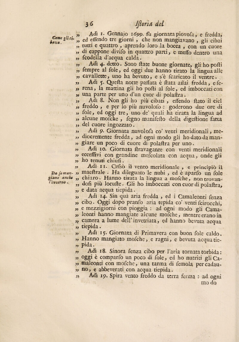 Cerne gli d fava. D.a je man¬ giano amhe ■i’mmrw «, 3 6 Jftoria del >, Adì i. Gennaio 1699. fa giornata piovofa, e fredda, „ ed elfendo tre giorni , che non mangiavano , gli cibai „ tutti e quattro , aprendo loro la bocca , con un cuore „ di cappone divifo in quattro parti, e meffo dentro una ,, fcodella dacqua calda. » Adì 4. detto. Sono Hate buone giornate, gli ho podi „ Tempre al fole, ed oggi due hanno tirato la lingua alle „ cavallette, uno ha bevuto, e s'è fcaricato il ventre. ,, Adì 5. Quella notte pallata è Hata aliai fredda, efe- ,, rena, la mattina gli ho podi al fole, ed imboccati con » una parte per uno d'un cuor di polallra. ,, Adì 8. Non gli ho più cibati , elfendo flato il ciel „ freddo , e per lo più nuvolofo : goderono due ore di „ fole, ed oggi tre, uno de' quali ha tirata la lingua ad ,, alcune mofche , fegno manifeHo della digeHione fatta „ del cuore ingozzato. „ Adì p. Giornata nuvolofa co’ venti meridionali, me- ,, diocremente fredda, ad ogni modo gli hodatodaman- „ giare un poco di cuore di polaHra per uno. „ Adì io. Giornata Hravagante con venti meridionali eccedivi con grandine mefcolata con acqua, onde gli 5, ho tenuti chi ufi. „ Adì 11. Cefsò il vento meridionale , e principiò il „ maeHrale . Ha dileguato le nubi , ed è aparfo un fole „ chiaro. Hanno tirata la lingua a mofche, non trovan- „ doli più locuHe. Gli ho imboccati con cuor di polaHra, „ e data acqua tiepida. „ Adì 14. Sin qua aria fredda , ed i Camaleonti fenza „ cibo. Oggi dopo pranfo aria tepida co’ venti fcirocchi, „ e mezzigiorni con pioggia : ad ogni modo gli Cama- „ leonti hanno mangiate alcune mofche, mentre erano in ?? camera a lume dell'invetriata, ed hanno bevuta acqua „ tiepida. „ Adì 15. Giornata di Primavera con buon fole caldo. „ Hanno mangiato mofche, e ragni, e bevuta acqua tic- >, pida • n Adì 18. Sinora fenza cibo per l’aria tornata torbida : oggi è comparfo un poco di fole, ed ho nutriti gliCa- » maleonti con mofche, una tarma di femola per cadau- n no, e abbeverati con acqua tiepida . « Adì ip. Spira vento freddo da terra ferma : ad ogni mo do