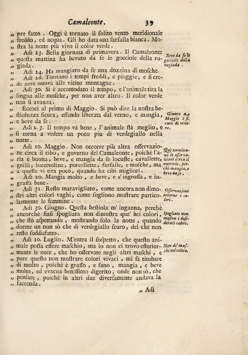 99 99 79 79 77 79 79 79 99 79 99 79 99 99 99 99 79 79 79 termina* ojferva. pre fatto . Oggi è tornato il folito vento meridionale freddo, ed acqua. Gli ho data una farfalla bianca. Mo~ (Ira la notte più vivo il color verde. Adì xj. Bella giornata di primavera. Il Camaleonte j f tè quella mattina ha bevuto da fe le gocciole della ru- giada. . rugiada , Adì xq.. Ha mangiato da fe una dozzina di mofche. Adì x6. Tornano i tempi freddi, e pioggie, e lì cre¬ de neve nuova alle vicine montagne. Adì 30. Si è accomodato il tempo, e laminale tira la lingua alle mofche, per non aver altro. Il color verde non lì avanza. Eccoci al primo di Maggio. Si può dire la nollra be- ffioluzza ficura, effendo liberata dal verno, e mangia, -Giuntò sl* e beve da fe . # curo dì vive- Adìx.3. Il tempo và bene , Y animale Uà meglio, t re. lì torna a vedere un poco più di verdegiallo nella „ notte v Adì io. Maggio. Non occorre più altra offervazìo- _ x ne circa il cibo, e governo del Camaleonte, poiché 1 a- ,, ria è buona, beve, e mangia da fe locuEe, cavallette, xioni-circa i ,, grilli, lucertoline, porcellette, farfalle, e mofche, ma nutrirlo > por* „ a quelle vi tira poco, quando ha cibi migliori. t%7^KT Adì xo. Mangia molto , e beve, e s’ingroffa, e in¬ grana bene. Adì 31. ReEo maravigliato, come ancora non dimo- ojfervazÀonì Eri altri colori vaghi, come fogliono moErare panico- intorno ì co- larmente le femmine . lori * Adì 30. Giugno. QueEa beEiola m*inganna, perchè ancorché EaE fpogliata non dimoEra que' bei colori, spogliato non che Eò allettando , moErando folo la notte , quando deviti cotoni dorme un non so che di verdegiallo fcuro, del che non reEo foddisfatto. Adì io. Luglio. Mentra il fofpetto, che queflo ani- „ male poffa eflere mafchio, ma io non ci trovo eEerior- Notede’maf* „ mente le note , che ho ofl'ervate negli altri mafchì , e *htMlcohn% „ pure queEo non moflrare colori vivaci , mi fà titubare „ di molto , poiché è graffo , e fano , mangia , e beve „ molto, ed evacua beniffìmo digerito ; onde non so, che „ penfare , poiché in altri due diverfamente andava la „ faccenda. „ Adì 99 79 79 99 99 99 99 79 99 99 79