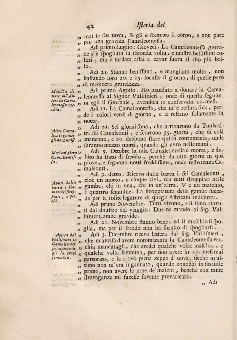 V V T » V yy yy yy yy '* yy Mando a do- „ nave all'An¬ fore In Cama leonteffa vec- ** cbia. ,, jy yy yy yy 'Altri Cama¬ leonti giunti- yy gli da Tunìfi. yy yy Morì un’altra yy Camaleonte/- ,, /*• „ yy yy Avuti dalla » barca i Ca. ,, tnaleotifirop- piati j § per0 che. 3* yy yy yy yy yy Aperta dal ,, Vallifnieri la Gamakewtef yy //?• manda*#*. » gli la trovò n femmina, J yy yy yy yy 42, JJlorìd del mai le Aie uova, fé gli è fcemato il corpo, e non pare più una gravida Camaleonteffa. Adi primo Luglio : Giovedì* La Camaleonteffa giova¬ ne sé fpogliata la feconda volta, e moftra belliflìmi co¬ lori , ma è tardata affai a cavar fuora il fuo più bel¬ lo* Adì 21. Stanno beniffimo ^ e mangiano molto , non ballando loro 20. e 25. locufle il giorno, di quelle però di mediocre grandezza* Adì primo Agofto. Ho mandato a donare la Cama- leonteffa al Signor Vallifnieri , onde di quella feguite- rà egli il Giornale , avendola io confervata 22. meli. Adì 11. La Camaleonteffa, che m’e redata fola, per¬ de i colori verdi di giorno , e le rdlano folamente la notte, Adì 21. Sei giorni fono, che arrivarono da Tunis al¬ tri fei Camaleonti , e fcorrono 55. giorni , che di colà mancano, e 20. debbono Ilare qui in contumacia, onde faranno mezzo morti, quando gli avrò nelle mani. Adì 5. Ottobre la mia Camaleonteffa è morta, e du¬ bito ha flato di freddo , perchè da otto giorni in qua piove, e feguono notti freddifhme, onde redofenzaCa¬ maleonti . Adì 9. detto. Ricevo dalla barca i fei Camaleonti , cioè un morto, e cinque vivi, ma tutti ffroppiati nelle gambe, chi in una, chi in un'altra. V’è un mafchio, e quattro femmine* La flroppiatura delle gambe dicco de per le folite legature di quegli Affricani indifcreti. Adì primo Novembre* Tutti vivono, eh fono riavu¬ ti dal difaftro del viaggio. Due ne mando al Sig. Val¬ lifnieri, ambe gravide. Adì 21. Novembre danno bene, ed il mafchiohfpo- glia, ma per il freddo non ha fornito di ipogliarh. Adì 3. Dicembre ricevo lettera dal Sig. Vallifnieri , che m'avvifa d’avere notomizzata la Camaleonteffa vec¬ chia mandatagli, che credei qualche volta mafchio , e qualche volta femmina, per non avere in 22. meli mai partorito, e la trovò piena zeppa d’ uova, ficchè in ul¬ timo non m’era ingannato, quando conobbi in fin fulle prime, non avere le note de' mafchi , benché con tante dravaganze mi faceffe fovente prevaricare * „ Adì