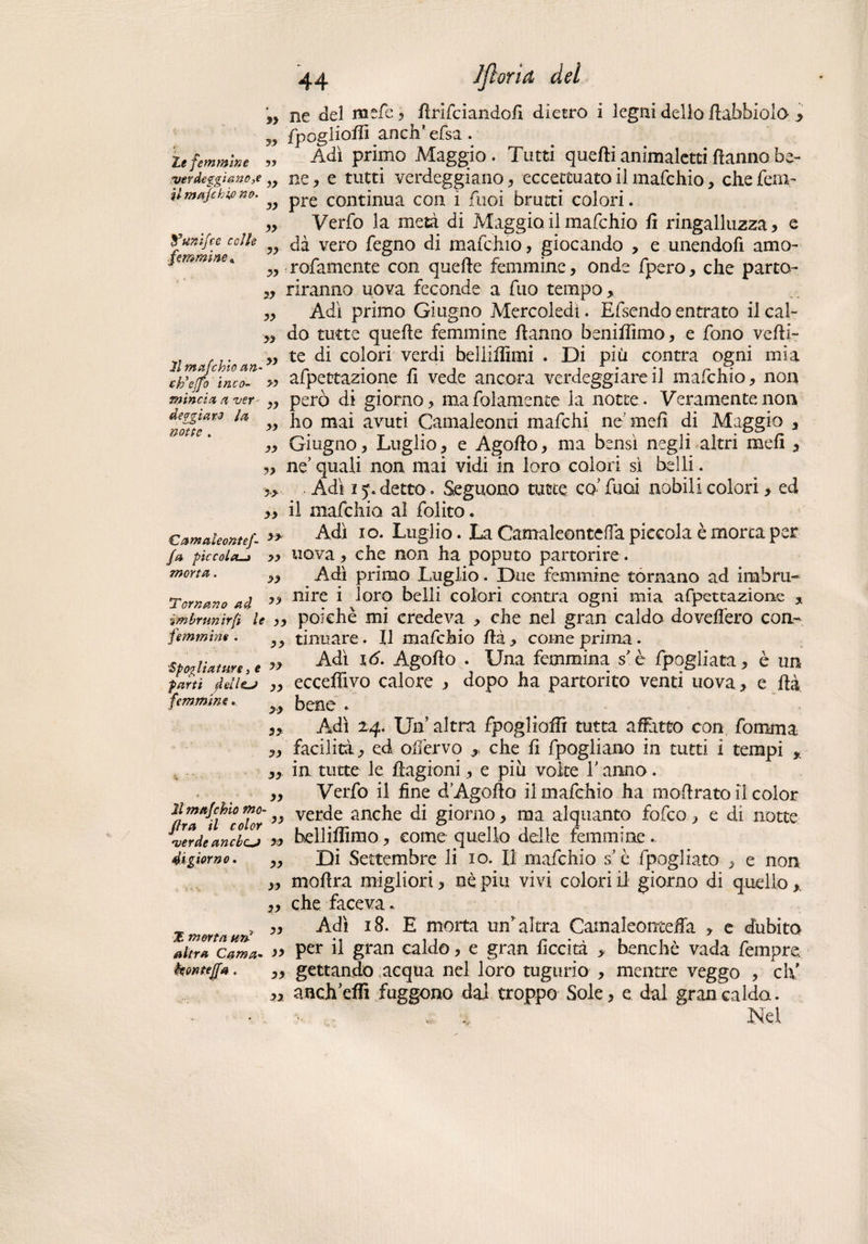 yy Ze femmine yy femmine* 2) yy yy yy II mafchio an. yy ctieffo in.co- » mincia a ver d oggi aro la. notte . yy yy yy 44 1 fiorili dei ne del mefc , firifciandofi dietro i legni dello fiabbiolo- > fpoglioffi anch’ efsa. ‘ Adì primo Maggio. Tutti quelli animaletti Hanno ba- werdeggi&no^ „ ne, e tutti verdeggiano , eccettuato il mafchio, che fenv il machione. „ pfe continua con { fll0i brutti Colori . „ Verfo la metà di Maggio il mafchio fi ringalluzza, e yy dà vero fegno di mafchio, giocando , e unendofi amo- rofamente con quelle femmine, onde fpero, che parto¬ riranno uova feconde a fuo tempo. Adì primo Giugno Mercoledì. Efsendo entrato il cal- do tutte quelle femmine Hanno beniffimo, e fono velli- te di colori verdi bellilfimi . Di più centra ogni mia afpettazione fi vede ancora verdeggiare il mafchio, non però di giorno, ma fidamente la notte. Veramente non ho mai avuti Camaleonti mafehi ne meli di Maggio 3 Giugno, Luglio, e Agollo, ma bensì negli altri meli , „ ne’quali non mai vidi in loro colori sì belli . » Adì in detto. Seguono tutte co-fucd nobili colori, ed ,, il mafchio al folito. Camaleonte/. » Adì io. Luglio. La Camaleonteffa piccola è morta per fa piccola._j ,, uova, che non ha poputo partorire. morta. „ Adì primo Luglio. Due femmine tornano ad inabru- Tornano ad nire * oro colori cantra ogni mia afpetcazione , imbrunir fi le yy poiché mi credeva , che nel gran caldo do veliero con- femmine. tinuare. Il mafchio Uà, come prima. 'Spooliature, e » Adì 16. Agofio . Una femmina s'è fjpogliata, è un parti fidiLt „ ecceffivo calore y dopo ha partorito venti uova, e Uà femmine. yy bene . „ Adì 24. Un’ altra fpoglioffi tutta affatto con fomrna „ facilità, ed offervo , che fi fpogliano in tutti i tempi * ,, in tutte le ilagioni, e più volte Y anno. ,, Verfo il fine d Agollo il mafchio ha mofirato il color fira^if1 color ” ver<^e anc^e di giorno, ma alquanto fofeo, e di notte verdeandcj *> helliffimo, come quello delle femmine .. 4igiorno. ,, Di Settembre li io. Il mafchio s’è fpogliato , e non „ mofira migliori, nè piu vivi colori il giorno di quello, ,, che faceva. 5 ” Adì 18. E molta un'altra Camaleontefla , e dubita altri Cam» Per U gran caldo, e gran liceità , benché vada fempre koìitejfa. ,, gettando acqua nel loro tugurio , mentre veggo , eh' ,, ancheffi fuggono dal troppo Sole, e dal gran calda. , .. Nel