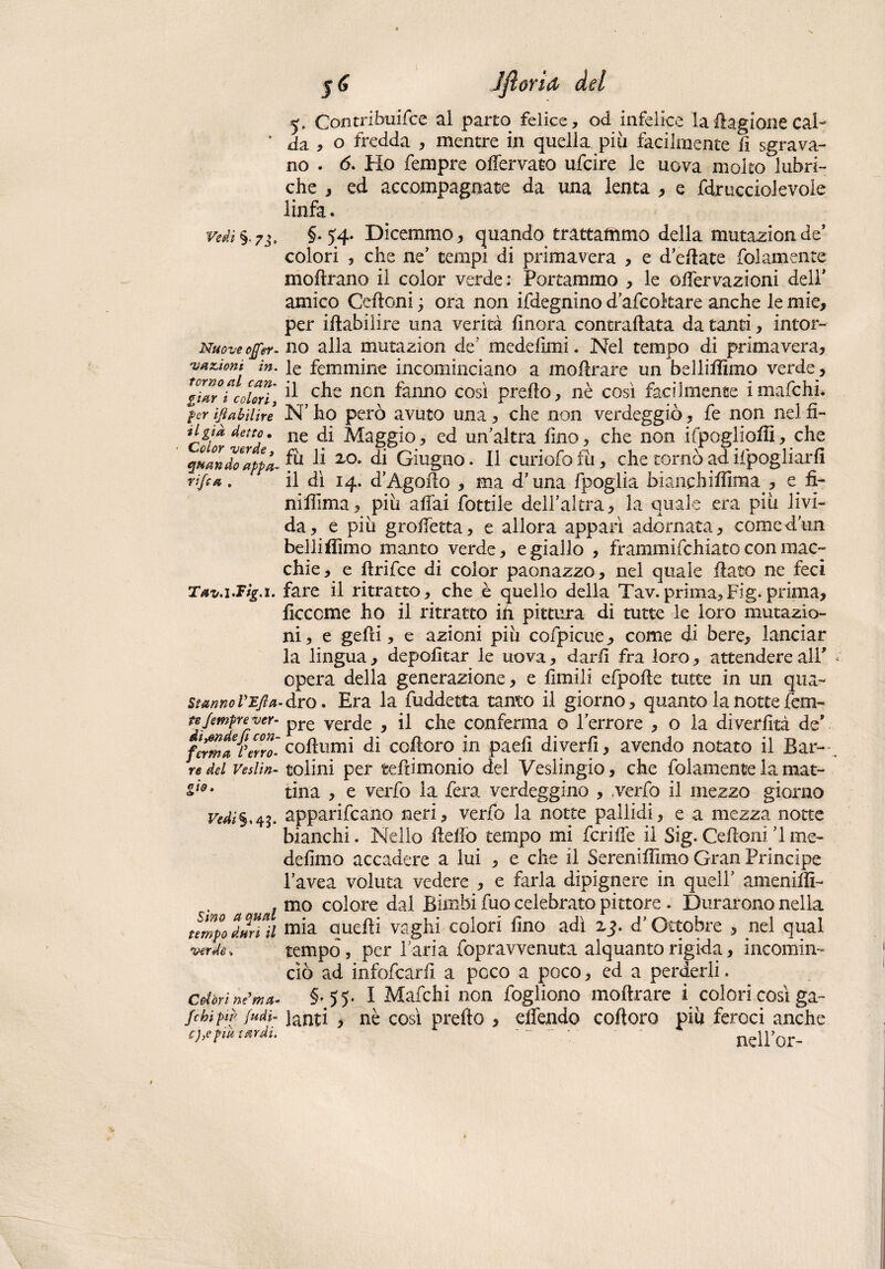 5. Cofltribuifce ai parto felice, od infelice laffagione Cai * da , o fredda , mentre in quella più facilmente fi sgrava¬ no . 6. Ho Tempre offervato ufcire le uova molto lubri¬ che , ed accompagnate da una lenta , e fdrucciolevole linfa. vedi§.73. §-54- Dicemmo, quando trattammo della mutazionde’ colori , che ne’ tempi di primavera , e d effate folamente mofirano il color verde; Portammo , le olTervazioni dell' amico Celioni ; ora non ifdegnino d’afcoitare anche le mie, per iftabilire una verità finora contraflata da tanti, intor- Nuoveojfer- no alla mutazion de' medefimi. Nel tempo di primavera, 'tornai femm*ne incominciano a moffrare un bel li filmo verde, f&*ri coltri, ^ C^e ncn l'anno così preilo, nè così faci)mente imafchì* per iflabilire N’ ho però avuto una, che non verdeggiò, fe non nel fi- tigt* detto. ne di Maggio, ed un’altra lino, che non ifpogliofìì, che quando api a- ^ ^ xo* di Giugno. 11 curiofofù, che tornò ad ifpogliarfi riffa, il dì 14. d’Agoffo , ma d’una fpoglia bianchilfima , e fi- nifiima, più affai lottile dell’altra, la quale era più livi¬ da, e più groffetta, e allora apparì adornata, comed’im belli flìmo manto verde, e giallo , frammifchiato con mac¬ chie, e ftrifce di color paonazzo, nel quale flato ne feci Tav.iSigA. fare il ritratto, che è quello della Tav.prima,Fig.prima, ficccme ho il ritratto ih pittura di tutte le loro mutazio¬ ni, e geffi, e azioni più cofpicue, come di bere, lanciar la lingua, depofitar le uova, darli fra loro, attendere alP opera della generazione, e limili efpoffe tutte in un qua- stannoVzfia.dro. Era la fuddetta tanto il giorno, quanto la notte fem- nSempre ver- pre verde y il che conferma o l’errore , o la diverfità de* firma ferro coffumi di cofforo in paelì divedi, avendo notato il Bar¬ re^/ Veslin- tolini per teffimonio del Veslingio, che folamente la mat- *l9t tina , e verfo la fera verdeggino , verfo il mezzo giorno vedi%s45. apparivano neri, verfo la notte pallidi, e a mezza notte bianchi. Nello lidio tempo mi fcriffe il Sig. Ceffoni ’l me- delimo accadere a lui , e che il Sereniffimo Gran Principe l’avea voluta vedere , e farla dipignere in quell’ ameniffì- , mo colore dal Bimbi fuo celebrato pittore . Durarono nella tempo durian mia quelli vaghi colori fino adì zj. d’Ottobre , mi qual verde, tempo , per l’aria fopravvenuta alquanto rigida, incomin¬ ciò ad infofearfi a poco a poco, ed a perderli. Colóri né*ma- §*55- I Mafchi non fogliono mofìrare i colori così ga- fcbipiP (udì- jan£i j nè così prefto , effendo cofforo più feroci anche c)}epiù sardi. ~ ~~ ~. nell’or-