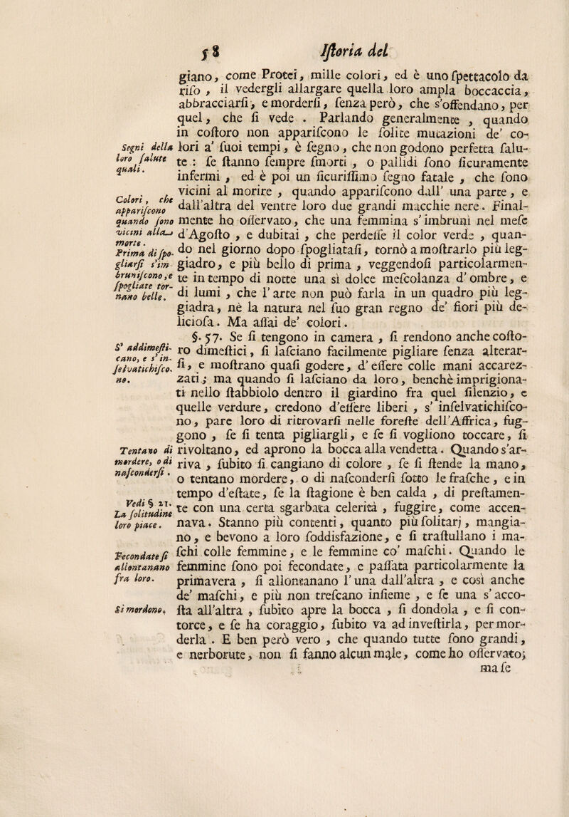 Segni della loro [alate qual t . Colorì f che app ari/cono quando fono uicmi ullo-j morie. Prima di fpo- gliarft fìm brunijcono ,e [pagliate tor¬ nano belle. S9 addimeli- cano, e s* in* Jelvatichifco. Tentano di mordere, odi najconderfi. Vedi § zi. La folitudine loro piace. Fecon date fi allontanano fra loro. Sì mordono • giano , come Protei, mille colori, ed è uno fpettacolo da tifo , il vedergli allargare quella loro ampia boccaccia, abbracciarli, e morderli, fenzaperò, che s offendano, per quel, che li vede . Parlando generalmente , quando in colioro non apparirono le Polite mutazioni de’ co¬ lori a Puoi tempi, è Pegno, che non godono perfetta falu- te : fe Hanno fempre Pmorti , o pallidi Pono Scuramente infermi , ed è poi un ficuriffimo Pegno fatale , che fono vicini al morire , quando apparifeono dall’ una parte, e dall’altra del ventre loro due grandi macchie nere * Final¬ mente ho oflervato, che una femmina s’imbrunì nel mefe d Agolto , e dubitai , che perdette il color verde , quan¬ do nel giorno dopo fpogliatafi, comò a inoltrarlo piu leg¬ giadro , e più bello di prima , veggendoli particolarmen¬ te in tempo di notte una sì dolce mefcolanza d’ombre, e di lumi , che l’arte non può farla in un quadro più leg¬ giadra, nè la natura nel Può gran regno de’ fiori più de¬ lie! oPa. Ma aliai de’ colori. §. yy. Se fi tengono in camera , fi rendono anche colto¬ lo dimeftici, fi laPciano facilmente pigliare fenza alterar¬ li, e inoltrano quali godere, d’edere colle mani accarez¬ zati; ma quando fi lafciano da loro, benché imprigiona¬ ti nello ltabbiolo dentro il giardino fra quel filenzio, c quelle verdure, credono d’eifere liberi , s’ infeivatichifco- no, pare loro di ritrovarli nelle forelte delFAffrica, Fig¬ gono , fe fi tenta pigliargli, e Pe fi vogliono toccare, fi rivoltano, ed aprono la bocca alla vendetta. Quando s'ar¬ riva , Pubico fi cangiano di colore , Pe fi itende la mano, o tentano mordere, o di nafeonderfi Poeto lefrafche, e in tempo dettate, fe la Itagione è ben calda , di preltamen- te con una certa sgarbata celerità , fuggire, come accen¬ nava . Stanno più concenti, quanto più folitarj, mangia¬ no, e bevono a loro foddisfazione, e fi traltullano i ma- fchi colle femmine, e le femmine co’ mafehi. Quando le femmine fono poi fecondate, e pallata particolarmente la primavera , fi allontanano l’una dall’altra , e così anche de’ mafehi, e più non trefeano infieme , e le una s’acco¬ lta all’altra , Pubico apre la bocca , fi dondola , e fi con¬ torce , e fe ha coraggio, fubito va ad invertirla, per mor¬ derla . E ben però vero , che quando tutte Pono grandi, e nerborute, non fi fanno alcunm^le, come ho oflervato; . L mafe