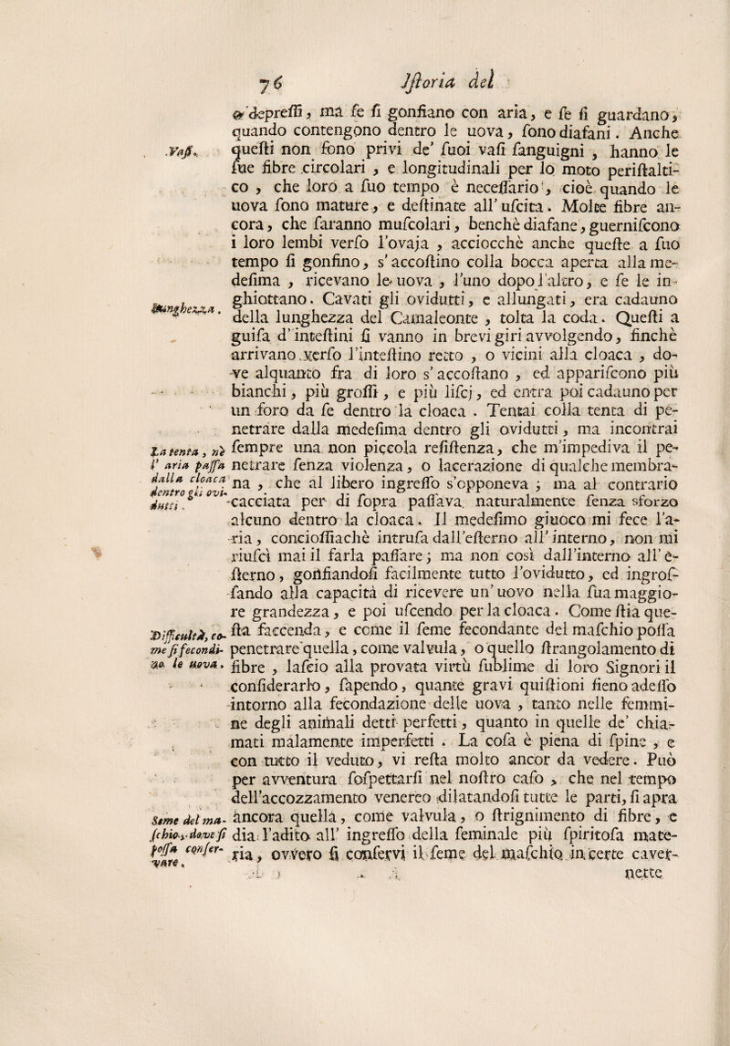 Vafi* toinghex&a. La tenta, ne V aria pajfa dalla cloaca dentro gli ovu duiii „ jDifficultà, co¬ me fi fecondi¬ lo, le uova,. Seme delma- fchioyd&.ve fi Poffa cqnfer¬ ii aro. yC Jfiaria del o ^'ekprefìì, ma fe fi gonfiano con aria, e fe fi guardiano, quando contengono dentro le uova, fono diafani. Anche quelli non fono privi de' fuoi vali fanguigni , hanno le Aie fibre circolari , e longitudinali per lo moto peridalti- co , che loro a fuo tempo è neceffario , cioè quando le uova fono mature, e desinate all’ ufcita. Molte fibre an¬ cora , che faranno mufcolari, benché diafane, guernifcono i loro lembi verfo fovaja , acciocché anche quelle a fuo tempo fi gonfino, s'accodino colla bocca aperta allame- defima , ricevano le-uova , fiuno dopofi altro, e fe le in- ghiottano. Cavati gli ovidutti, e allungati, era cadauno della lunghezza del Camaleonte , tolta la coda . Quelli a guifa d’intedini fi vanno in brevi giri avvolgendo, finché arrivano . verfo rimedino retto , o vicini alla cloaca , do¬ ve alquanto fra di loro s’accodano , ed apparifcono piu bianchi, piu grodì, e più lifcj, ed entra poi cadauno per un foro da fe dentro la cloaca . Tentai colla tenta di pe¬ netrare dalla medefima dentro gli ovidutti, ma incontrai fempre una non piccola refidenza, che m’impediva il pe¬ netrare fenza violenza, o lacerazione di qualche membra¬ na , che al libero ingrefib s’opponeva ; ma al contrario cacciata per di fopra paffava. naturalmente fenza sforzo alcuno dentro la cloaca. Il medefimo giuoco mi fece fa¬ rla, conciodìachè intrufadall/ederno alf interno, non mi riufcì mai il farla paffare ; ma non così dall’interno alf è- derno, gonfiandoli facilmente tutto fovidutto, ed ingrof- fando alla capacità di ricevere un’uovo nella fuamaggio¬ re grandezza, e poi ufcendo per la cloaca . Come dia que¬ lla faccenda, e come il feme fecondante del mafchio polla penetrare'quella, come valvula, o quello drangolamento di fibre , lafcio alla provata virtù fublime di loro Signori il confiderarlo, fapendo, quante gravi quidioni fieno adefiò intorno alla fecondazione delle uova , tanto nelle femmi¬ ne degli animali detti perfetti, quanto in quelle de’ chiar¬ mati malamente imperfetti * La cofa è piena di fpine , e con tutto il veduto, vi reda molto ancor da vedere. Può per avventura fofpetcarlì nel nodro cafo > che nel tempo dell accozzamento venereo .dilatandoli tutte le parti, li apra àncora quella, come valvula, o drignimento di fibre, e dia; l’adito all’ ingrelfo della feminale più fpiritofa mate¬ ria, ovvero fi confarvi if feme del mafchia in certe caver¬ ai > ... .ì. nette