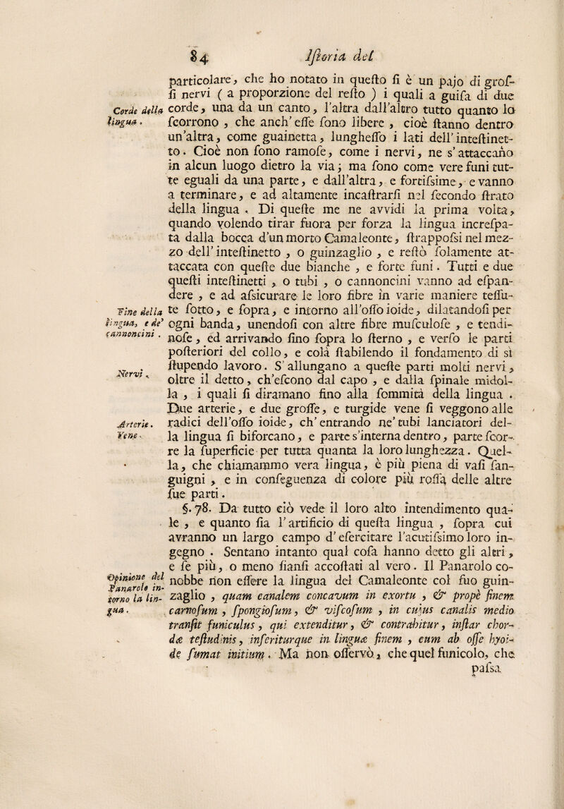 $4 Ifiùrìa del particolare, eli e ho notato in quello lì è un pajo di graf¬ fi nervi ( a proporzione del redo ) i quali a guifa di due corde dell# corde, una da un canto, l'altra dall'altro tutto quanto lo ìi»gm » {corrono , che anch’ che fono libere , cioè danno dentro un altra, come guainetta, lunghedò i lati dell’inteftinet- to. Cioè non fono ramofe, come i nervi, ne s’attaccano in alcun luogo dietro la via ; ma fono come vere funi tut¬ te eguali da una parte, e dall’altra, e foreifsime, e vanno a terminare, e ad altamente incadrard nel fecondo drato della lingua . Di quede me ne avvidi la prima volta, quando volendo tirar fuora per forza la lingua increfpa- ta dalla bocca d’un morto Camaleonte, drappofsi nel mez¬ zo dell’ intedinetto , o guinzaglio , e redo {blamente at¬ taccata con quede due bianche , e forte funi. Tutti e due quedi intedinetti , o tubi , o cannoncini vanno ad efpan- dere , e ad afsicurare le loro fibre in varie maniere telili- fine della te fotte, e fopra, e intorno all’olio ioide, dilatandoli per lingua., e de’ ogni banda, unendod con altre fibre mufculofe , e tendi- tannonum . nope ^ ec| arrivando fino fopra lo derno , e verfo le parti poderiori del collo, e colà dabilendo il fondamento di sì Nervi dupendo lavoro. S allungano a quede parti molti nervi, ervi „ 0]tre il detto, ch’efcono dal capo , e dalia fpinaie midol¬ la , i quali fi diramano fino alla fommità della lingua « Due arterie, e due grolle, e turgide vene fi veggono alle Arterie. radici delibilo ioide, ch’entrando ne’tubi lanciatori del- vene ». la lingua fi biforcano, e parte s’interna dentro, parte feer¬ ie la Superficie per tutta quanta la loro lunghezza. Quel¬ la, che chiamammo vera lingua, è piu piena di vali fan- giugni > e in confeguenza di colore piu roda delle altre fue parti. §. 78. Da tutto ciò vede il loro alto intendimento qua¬ le , e quanto fia V artificio di queda lingua , fopra cui avranno un largo campo d’efercitare 1'acutifsimo loro in¬ gegno . Sentano intanto qual cofa hanno detto gli altri, e fe piu, o meno fianfi accodati al vero. Il Panarolo co- ^anìroh tn n0^^e non e fiere la lingua del Camaleonte col fuo guin- tomo la Un- caglio , quam canalem concavum in exortu , & propè finem gaa. carnofum , fpongiofum, & vifcofum , in emus canali? ?nedio t ranfie funiculus , qui extenditur, & conirahitur, infilar eh or- v dte teflndìnis, inferiturque in lingua finem , cum ab offe hyoi- de fumat inìtium « ' Ma nonoilervò j che quel limicolo, che