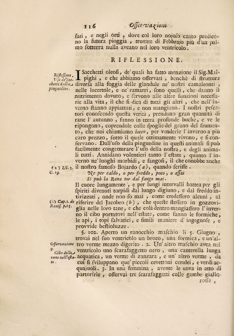 fati, c negli orti , dove eoi loro nojofo canto predico¬ no la futura pioggia , trovate di Febbra/o piti d’un pal¬ mo Sotterra nulla aveano nel loro ventricolo » T ? f - 4 T RIFLESSIONE. Riffe Pione T Sacchetti °ie°fi > de’ quali ha fatto menzione il Sig.M ilL vjo dffac- A pighi > e che abbiamo offervati , benché di bruttura thetti dalla-» diverfa alla foggia delle glandule ne’ nobri camaleonti , pinguedine. nepe lucertole, e ne'ramarri, fono quelli, che danno il nutrimento dovuto, e fervono alle altre funzioni neceffa- rie alla vita, il che b dica di tutti gli altri , che nell’ in¬ verno hanno appiattati, e non mangiano. I nohri peren¬ tori conoscendo queha verità , prendono gran quantità di rane Y autunno , fanno in terra profonde buche, e ve le ripongono, coprendole colle fpogliedel grano del frumen¬ to, che noi chiamiamo tocco, per venderle Y inverno a più caro prezzo, fotto il quale ottimamente vivono, e fi con¬ fervano. Dall’ufo della pinguedine in quebi animali fi può facilmente congetturare l’ufo della nohra, e degli anima¬ li tutti. Annidano volentieri tanto Y ebate , quanto Y in¬ verno ne’luoghi morbidi, e fangofi, il che conobbe anche t a ) lib.z. il nobro famofo Rojardo (a), quando fcrifie . l$' T<[e per caldo, o per freddo, poco, o affai Si può la Rana tor dal fango mai. Il cuore lungamente , e per lungi intervalli batteaper gli fpiriti divenuti torpidi dal lungo digiuno, e dal freddo in¬ tirizzati , onde non fo mai , come credefléro alcuni , al (b> Cap.i.de riferire del Tacobeo (b) , che quebe befferò in gozzovi- jxantf.p*if. ne|je ]0r0 cane^ e che colà dentro mangiaffero Y inver¬ no il cibo portatovi nell’ebate, come fanno le formiche, le api, i topi falvatici, e fimili maniere d.’ingegnofe , e provvide bebioluzze. , §. ioz. Aperto un ranocchio mafehio li 5. Giugno , trovai nel fuo ventricolo un bruco, una formica, eun’al- o(fervanone tro verme mezzo digerito . 2. Un’ altro mafehio avea nel 9 cìbodeilcj ventricolo uno fcarafaggetto nero , una canterella lunga rane nelfefta- acquatica, un verme di zanzara , e un’ altro verme , da # • cui fi Sviluppano que5 piccoli cevettoni cerulei, e verdi ac¬ quai noli. 3* In una femmina ? avente le uova in atto di partorirle , offervai tre icarafaggetti colle gambe giallo- * robe 1