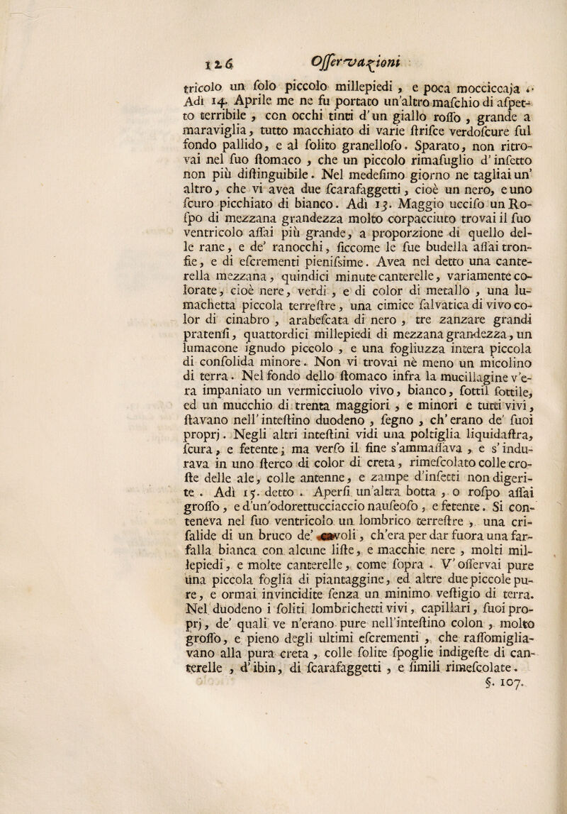 tritolo un folo piccolo millepiedi , e poca mocciccaja Adi 14. Aprile me ne fu portato un’altro mafchio di afpet^ to terribile , con occhi tinti d’un giallo rotto , grande a maraviglia, tutto macchiato di varie ftrifce verdofcure fui fondo pallido, e al folito granellofo. Sparato, non ritro¬ vai nel fuo flomaco , che un piccolo rimafuglio d’infetto non più diftinguibile. Nel medefimo giorno ne tagliai un altro, che vi avea due fcarafaggetti, cioè un nero, e uno fcuro picchiato di bianco. Adì 1^. Maggio uccifo unRo- fpo di mezzana grandezza molto corpacciuto trovai il fuo ventricolo affai più grande, a proporzione di quello del¬ le rane, e de’ ranocchi , ffccome le fue budella affai tron¬ fie, e di efcrementì pienifsime. Avea nel detto una cante¬ rella mezzana, quindici minute canterelle, variamente co¬ lorate, cioè nere, verdi , e di color di metallo , una lu- machetta piccola terreftre, una cimice faivatica di vivo co¬ lor di cinabro , arabefcata di nero , tre zanzare grandi pratenfi , quattordici millepiedi di mezzana grandezza, un lumacone ignudo piccolo , e una fogìiuzza intera piccola di confolida minore. Non vi trovai nè meno un micolino di terra. Nel fondo dello ttomaco infra la mucillagine ve¬ ra impaniato un vermicciuolo vivo, bianco, fottìi fiatile, ed un mucchio di trenta maggiori, e minori e tutti vivi, davano nell' intettino duodeno , fegno , eh’ erano de* fuoi proprj • Negli altri inteftini vidi una poltiglia liquidaftra, fcura, e fetente ; ma verfo il fine sammalia va , e s indu¬ rava in uno fterco di color di creta, rimefcolato colle ero¬ tte delle ale, colle antenne, e zampe d’infetti non digeri¬ te . Adì 15. detto . Aperfi un’altra botta , o rofpo affai groffo, e d’un’odorettucciaccio naufeofo, e fetente. Si con¬ teneva nel fuo ventricolo un lombrico terreftre , una cri- falide di un bruco def^wvoli , ch’era per dar fuora una far¬ falla bianca con alcune fitte, e macchie nere , molti mil¬ lepiedi, e molte canterelle, come fopra . V’offervai pure una piccola foglia di piantaggine , ed altre due piccole pu¬ re, e ormai invincidite lenza un minimo vettigio di terra. Nel duodeno i Teliti lombrichetti vivi, capillari, fuoi pro¬ pri , de’ quali ve n’erano pure nell’inteftino colon , molto groffo, e pieno degli ultimi eferementi , che raffomiglia- vano alla pura creta , colle felice fpoglie indìgette di can¬ terelle , d’ibin, di fcarafaggetti , e limili riraefcolate* §« 107.