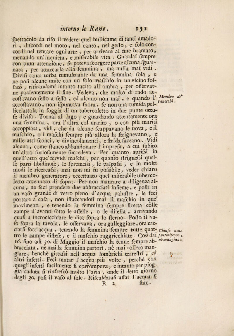 spettacolo da rifo il vedere quel bulicarne di tanti amado- ri , difcordi nel moto, nel canto , nel gefio , e Solo con¬ cordi nel tentare ogni arte , per arrivare al fine bramato , menando un’ inquieta, e mifèrabile vita . Guardai Sèmpre con tutta attenzione. Se potè va Scorgere parte alcuna Sguai¬ nata , per attaccarla alia femmina , ma nulla mai vidi » Divifi tanta turba tumultuante da una femmina Sola , e ne poli alcune unite con un Solo maSchio in un vicino foS- Sato , ritirandomi intanto tacito alf ombra , per offervar- ne pazientemente il fine. Vedeva, che molto di rado ac¬ collavano Sellò a Sellò , ed alcuno non mai , e quando V ^7tchi. ^ accollavano y non ifpuntava fiora, Se non una tumida pel¬ licciartela in foggia di un tubercoletto in due punte ottu- fe divifo. Tornai al lago ; e guardando attentamente ora una femmina , ora 1* altra col marito , o con piu mariti accoppiata, vidi, che da alcune Scappavano le uova, e il mafchio, o i maSchj Sempre piu allora la rtrignevano , e mille atti Sconci, e divincolamenti, efiridafaceano . Vidi alcuno, come fianco abbandonare Y impreSa, a cui Subito un altro furioSamente Succedeva . Per quanto apriSsi in quell’ atto que’ fervidi mafchi , per quanto firignefsi quel¬ le parti libidinofe, le fpremefsi, le palpafsi , e in molti modi le ricercafsi, mai non mi fu pofsibile, veder chiaro il membro generatore, eccettuato quel miferabiletuberco¬ letto accennato di fopra * Per non mancare a diligenza al¬ cuna, ne feci prendere due abbracciati infieme, e polli in un vafo grande di vetro pieno d’acqua palufire , le feci portare a cafa , non ifiaccandofì mai il mafchio in que’ movimenti , e tenendo la femmina fempre firecta colle zampe d’avanti fotte le alleile , 0 le ditella , arrivando quali a incrocicchiare le dita fopra lo fierno. Pollo il va¬ fo fopra la tavola, le olfervava, ora galleggiare, ora cac¬ ciarli fott’ acqua , tenendo la femmina fempre tutte quat- chìufe non._* tro le zampe difiefe, e il mafchio raggricchiate • Cosi dai partorì/cono „ 16. fino adì 30. di Maggio il mafchio la tenne Sempre ab- »emAnzl(ino- bracciata, nè mai la femmina partorì, nè mai vollero man¬ giare, benché gictafsi nell acqua lombrichi terrefiri , ed 5 altri infetti* Feci mutar l’acqua più volte , perchè con • quegl’ infetti facilmente fi corrómpeva, e intanto per piog¬ gia caduta fi rinfrefeò molto l’ aria , onde il detto giorno degli jo, polì il vafo al fole. Rifcaldatafi aliai l’acqua fi R 2, fiac~