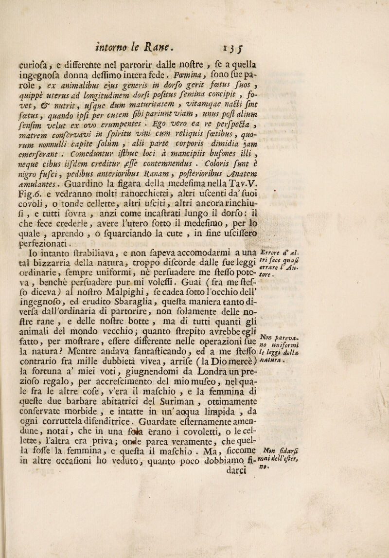 1} S curiofa> e differente nel partorir dalle noftre ^ fe a quella ingegnosa donna deffimo intera fede. Foemina> fonofuepa- role > ex animalibus e]us generis in dorfo gerle fatus fuos , quippè uterus ad longitudinem dorft pofitus femina, concipit , fo¬ vee7 & nutrie y ufque dum maturitatem , vitamqae naUi fine fcetus y quando ipft per ciitem [ibi par lune vicina > unus pcfl aliuna fenfim velue ex ovo erumpentes . Ego vero e a re perfpeUa , matrem conjervavi in fpiritu vini curii reìiquis fostibus y quo¬ rum nonnulli capite folùm , alii parte corporis dimidia ]am emerferant . Comeduntur iflhuc loci à mancipiis bufones illi , neque cibus iifdem creditur .effe contemnendus . Coloris fune è nigro fufciy pedibus anterioribus Ranam > pofterioribus <Anatem amuiantes. Guardino la iìgara della mede fini a nella Tav.V. Fig.6. e vedranno molti ranocchiem, altri ufcenti da’ Tuoi covoli, o tonde cellette, altri ufciti, altri ancorarinchìu- fi , e tutti fovra , anzi come incaftrati lungo il dorfo : il che fece crederle, avere l'utero fotto il medefimo, per lo quale , aprendo , o fquarciando la cute , in fine ufciffero perfezionati. ^ ;;J, Io intanto ftrabiliava , e non fapcva accomodarmi a una Errore d'ai- tal bizzarria della natura, troppo difcorde dalle fue leggi m fece ordinarie, tempre uniformi, ne perfuadere me fieno potè- ton. benché perfuadere pur mi voleffi. Guai ( fra me ftef- va fo diceva) al noflro Malpighi, fe cadea forco focchio dell* ingegnofo, ed erudito Sbaraglia, quella maniera tanto di- verfa dall’ordinaria di partorire, non folamente delle no- ftre rane , e delle noftre botte , ma di tutti quanti gli animali del mondo vecchio ; quanto ftrepito avrebbe egli fatto, per moftrare, eftere differente nelle operazioni fue ^ unìfwmì la natura? Mentre andava fantafticando, ed a me fteffo le leggi della contrario fra mille dubbietà vivea, arrife ( la Dio mercè ) ****** - la fortuna a' miei voti, giugnendomi da Londra un pre- ziofo regalo, per accrefcimento del miomufeo, nel qua¬ le fra le altre cofe, vera il mafehio , e la femmina di quelle due barbare abitatrici del Suriman , ottimamente confervate morbide , e intatte in un' aqqua limpida , da ogni corruttela difenditrice. Guardate efternamente amen- dune , notai, che in una foia èrano i covolecti, o le cel¬ lette, l’altra era priva y onde parea veramente, che quel¬ la folle la femmina, e quella il mafehio . Ma, fìccome Mw fidarfi in altre occafioni ho veduto, quanto poco dobbiamo fmai dell efterf darci