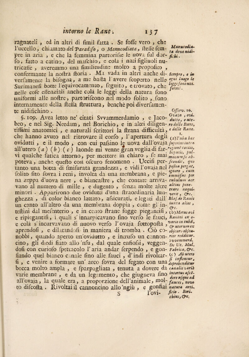 ragliateli , ed in altri di fimil fatta . Se folle vero , che l’uccello, chiamato del Taradfo, o Manucodiata, ileiìe Tem¬ pre ia aria , e che la femmina par tori fse le uova fui dor- fo, fatto a catino, del mafchio, e cola i nati figliuoli nu¬ tricane , averemmo una fimilitudine molto a proposto , confermante la nofira fioria . Ma vada in altri anche di- verfamence la bifogna, a me baita 1 avere fcoperto nelle Surimaneh botte l’equivocamento, feguito, e trovato, che nelle colè eilenziali anche colà le leggi della natura fono uniformi alle nofire, partorifcono nel modo folito ,.fono internamente della ftelia (trattura , benché poi diverfamen¬ te nidifichino . §. 109. Avea letto ne' citati Svvammerdamio , e Jaco- beo, e nel Sig. Needam, nel Borichio, e in altri diligen- tiifimi anatomici , e naturali fcrittori ia firana difficultà, che hanno avuto nel ritrovare il corfo , l'apertura degli ovidutti , e il modo , con cui pafsino 1| uova dall’ovaja all’utero (a) (b) (c) laonde mi venne gran voglia di far¬ vi qualche fatica attorno, per mettere in chiaro , fe mai poteva, anche quello così ofcuro fenomeno . Uccifi per¬ tanto una botta di fmifurata grandezza, e vidi l’ovaja nel folito fito fovra i reni, involta da una membrana, e pie¬ na zeppa d’uova nere , e biancaflre , che contate arriva¬ vano al numero di mille , e dugento , lenza molte altre minori . Apparirono due ovidutti duna flraordinaria lun¬ ghezza , di color bianco lattato, afsicurati, e legati dall un canto all’altro da una membrana doppia , come gl in- tellini dal mefenterio , e in cento flrane fogge piegancifì, e ripiegantifi, i quali s’inerpicavano fino verfo le fauci, e colà s; incurvavano di nuovo verfo 1’ ovaja fottopofia , aprendoli , e dilatandoli in maniera di tromba . Ciò co¬ nobbi , quando aperto un’ovidutto , e incmfo un cannon¬ cino , gli diedi fiato alio ’nfu, dal quale enfiofsi, veggen- dofi con curiolo fpettacolo l’aria andar ferpendo , e gon¬ fiando quel bianco c male fino alle fauci , d’indi rivoltar- fi , e venire a formare un' arco fovra del fegato con una bocca molto ampia , e fparpagliata , tenuta a dovere da varie membrane , e da un legamento, che giugneva fino all’ovaja, la quale era, a proporzione dell’animale, mol¬ to difcofta . Rivoltai il cannoncino allo ’ngiìi, e gonfiai s rovi- Manne odi ci¬ ta dove nidi¬ fichi . Sempre t e in ogni luego le leggi fonemi, formi. Ojjerv. 16. Ova)a , ovu (lutto, e ute¬ ro delle Botte, e delle Rane. 1. (z)Tubas h&c fuperius intra regione corda, hepatis, pul- monumje ab- fcondii■, quo po/l e a p ergatt ignoro , cum immUfus per tubulutn aer altius pene¬ trare ncqui- verit, 0*c. BlaJ.de Ranis iuxta alios t &c. Cb ) Mot us ozi Ramni ex o- vano m tuba,, & uterum ex objcuro obfcu- rior redditur, Svvemmerd. De Ut. Mul. Fabrica, (c) Ab utero fi inftemurt deprehenditur cariala vari'è intortus afee- dere ufque ad faucesy novo natura arti* fido . Borì* f hittSf &<?,