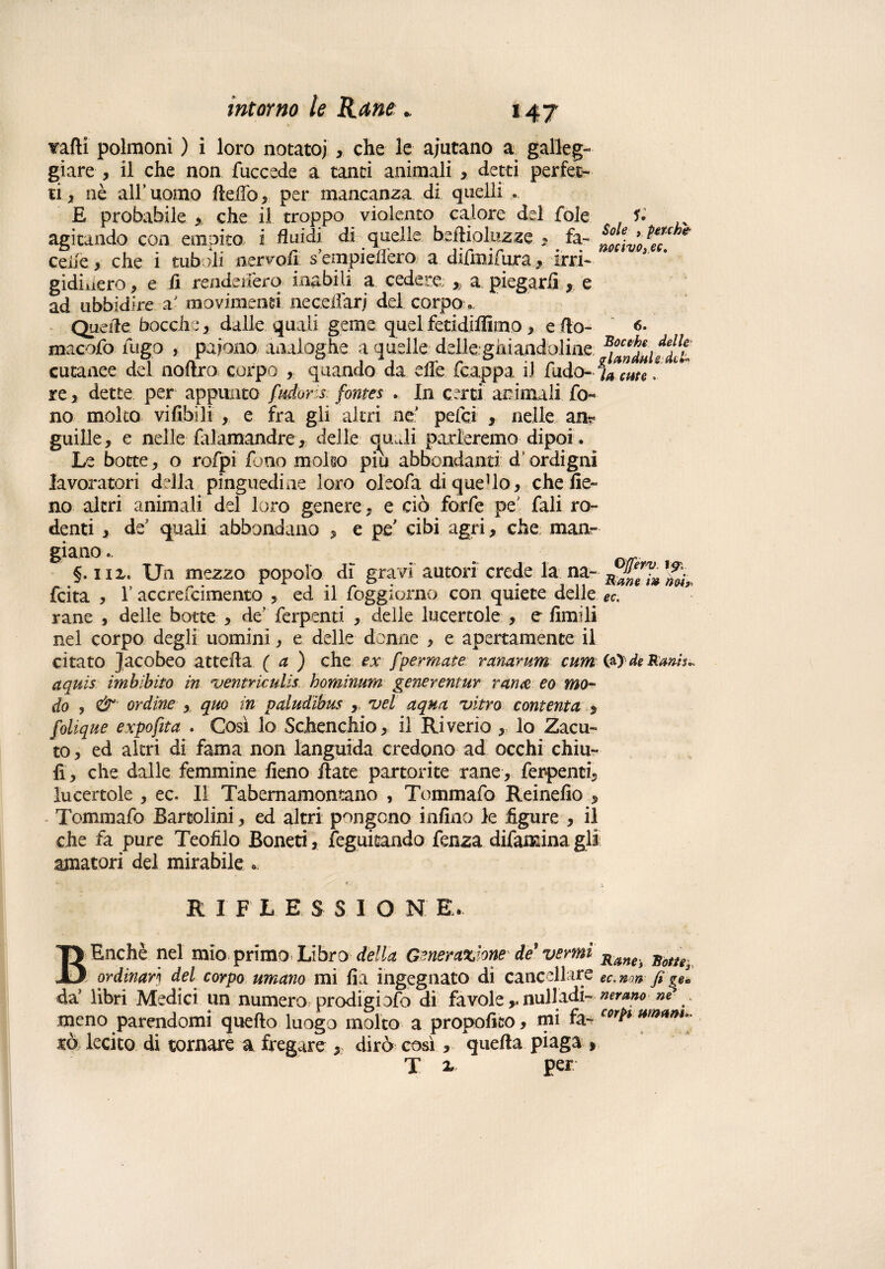 valli polmoni ) i loro notato; , che le aiutano a galleg¬ giare , il che non fuccede a tanti animali , detti perfet¬ ti, nè all’uomo fiehò, per mancanza di quelli .. E probabile , che il troppo violento calore del fole f. agitando con empito i fluidi di quelle beftioluzze , fa- i°^'0 p*rche celle, che i tubili nervo.fi sempieffero a difmifura, irri- gidiuero, e fi rendeifero inabili a cedere , a piegarli, e ad ubbidire a' movimenti neceifar; del corpo . Quelle bocche, dalle quali geme quel fetidifllmo, e fio- <s- macofo fugo , paiono analoghe a quelle delle:ghiandoline cutanee del noltro corpo , quando da elle fcappa il fudo- ja cme .. re, dette per appunto fidar s fontes . In certi arimali fo¬ no molto vifibili , e fra gli altri ne' pelei , nelle an? gufile, e nelle falamandre , delle quali parleremo dipoi. Le botte, o rofpi fono molto piu abbondanti d ordigni lavoratori della pinguedine loro oleofa diqueUo, che fie¬ no altri animali del loro genere , e ciò forfè pe' fali ro¬ denti , de' quali abbondano , e pe* cibi agri, che manr §. 1 ix. Un mezzo popolo di gravi autori crede la na- R ^ feita , r accrefcimento , ed il foggiarne con quiete delle ec. rane , delle botte , de’ ferpenti , delle lucertole , e fimili nel corpo degli uomini, e delle donne , e apertamente il citato Jacobeo attefla (a ) che ex [permute ranarum cum 00 de Ran-h,. ctquis imbibito in ventriculis hominum generentur rem£ eo mo¬ do j &' ordine , quo in paludibus , vel aqua vitro contenta , folique expofita . Così lo Schenchio, il Riverio , lo Zacu- to, ed altri di fama non languida credono ad occhi chiù- fi, che dalle femmine fieno fiate partorite rane, ferpenti, lucertole , ec. Il Tabernamomano , Tommafo Reinefio , Tommafo Bartolini, ed altri pongono infino le ligure , il che fa pure Teoiilo Boneti, feguitando fenza difamina gli amatori del mirabile «, RIFLESSION E. BEnchè nel mio primo Libro della Generatone de* vermi Rane^ Boft^ ordinari del corpo umano mi fia ingegnato di cancellare ec.mn fi da’ libri Medici un numero prodigi ofo di favolenulla ài- aerano ne meno parendomi quello luogo molto a propofito, mi fa- corfr wnftm°- m lecito di tornare a fregare , dirò così, quella piaga , T ì per