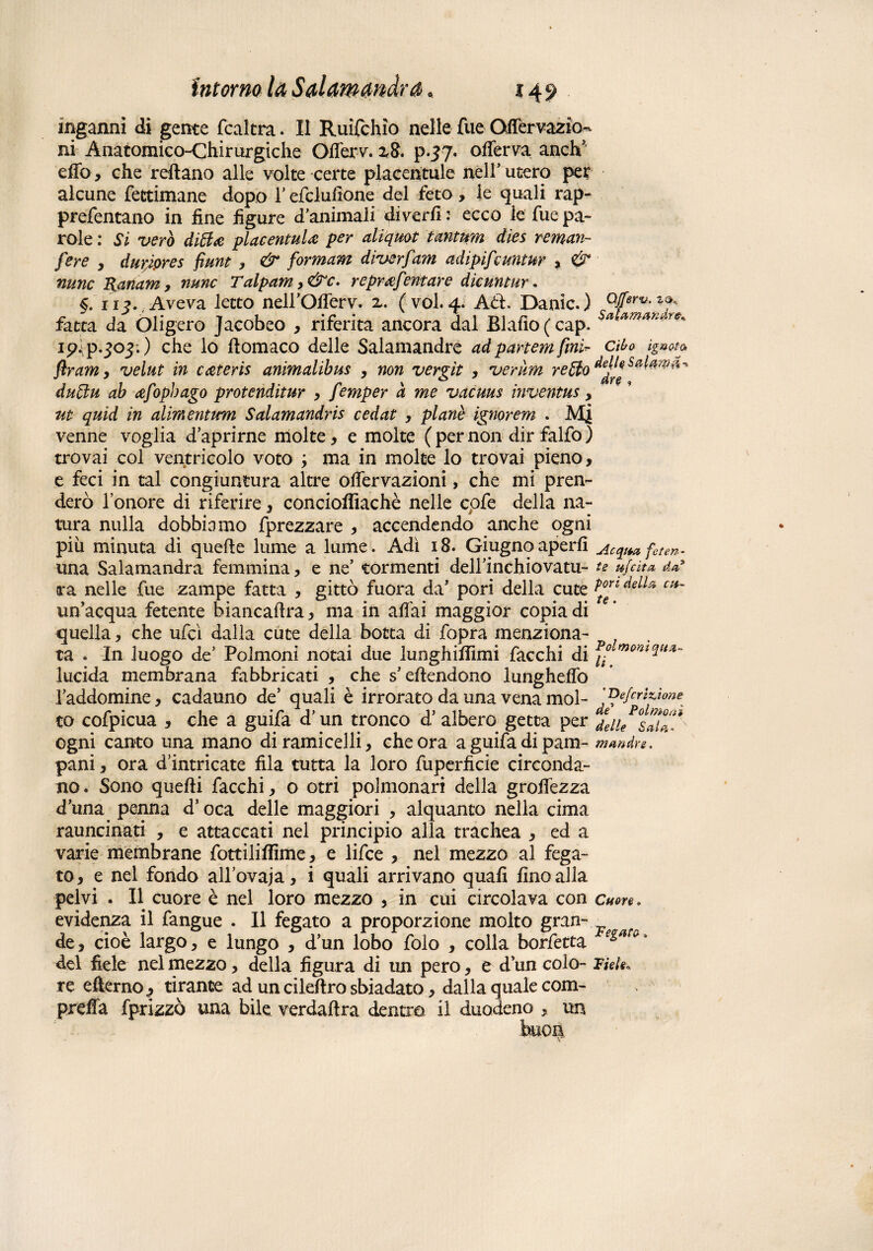 inganni di gente fcaltra. Il Ruifchìo nelle fue CMervazio- ni Anatomico-Chirurgiche Ofierv. x8. p.37. oflerva anch* elfo, che reftano alle volte certe placentule nell’ utero per alcune fettimane dopo Tefclulione del feto, le quali rap» prefentano in fine figure d'animali divedi: ecco le fue pa¬ role : Si vero ditta placentula per aliquot tantum dies reman- fere , dur/pres fiunt , & formarti diverfam adipifeuntur , & mine Ranam, nunc Talpam >&c. reprafevitare die untur. §. 113., Aveva letto neiroiferv. z. ( voi. 4. Aàì. Danic. ) fatta da Oligero Jacobeo , riferita ancora dal Blafio(cap. ip^p.joj;) che lo ftomaco delle Salamandre adpartemfinì- flram9 velut in cateris animalibus , non vergìt , veruni retto duttu ab afopbago protenditur , femper a me vacuus ìnventus, ut quid in alimentum Salamandris cedat , planò ignorem . M,j venne voglia daprirne molte, e molte ( per non dir falfo ) trovai col ventricolo voto ; ma in molte lo trovai pieno, e feci in tal congiuntura altre offervazioni, che mi pren¬ derò l’onore di riferire, concioflìachè nelle cofe della na¬ tura nulla dobbiamo fprezzare , accendendo anche ogni più minuta dì quelle lume a lume. Adì 18. Giugnoaperfi una Salamandra femmina, e ne’ tormenti deirinchiovatu- ara nelle fue zampe fatta , gittò fuora da’ pori della cute un’acqua fetente biancaftra, ma in aliai maggior copia di quella, che ufcì dalla cuce della botta di fopra menziona¬ ta . In luogo de' Polmoni notai due lunghilfimi facchi di lucida membrana fabbricati , che s’eflendono lunghelfo Taddomine, cadauno de’ quali è irrorato da una vena mol¬ to cofpicua , che a guifa d’un tronco d’ albero getta per ogni canto una mano di rami celli, che ora a guifa di pam- pani, ora d'intricate fila tutta la loro fuperficie circonda¬ no. Sono quelli facchi, o otri polmonari della grolfezza d’una penna d’oca delle maggiori , alquanto nella cima rauncinati , e attaccati nel principio alla trachea , ed a varie membrane fottiliflìme, e lifee , nel mezzo al fega¬ to, e nel fondo all’ovaja, i quali arrivano quali fino alla pelvi . Il cuore è nel loro mezzo , in cui circolava con evidenza il fangue . Il fegato a proporzione molto gran¬ de, cioè largo, e lungo , d’un lobo folo , colla borfetta del fiele nel mezzo, della figura di un pero, e d un colo¬ re efterno ? tirante ad un cileftro sbiadato, dalla quale com¬ presa fprizzò una bile verdaftra dentro il duodeno , un buon Offerii, za. Salamandre* Cito ignota delle Salamd^ dre , Acqua feten¬ te ufeita da3 pori della eti¬ te . Polmoni qua¬ li. ' Defcr iùone de5 Polmoni delle Sala¬ mandre . Cuore . Fegato ( Fiele*