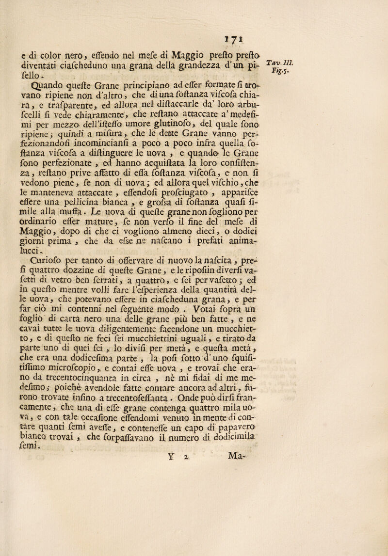 JJi e di color nero , elfendo nel mefe di Maggio prefto prefto- diventati ciafcheduno una grana della grandezza d’un pi¬ fello - Quando quelle Grane principiano ad eifer formate fi tro¬ vano ripiene non d'altro, che di una foftanza vifcofa chia¬ ra, e trafparente, ed allora nel dillaccarle da’ loro arbu- fcelli fi vede chiaramente, che reftano attaccate a’medefi- mi per mezzo dell’ifletto umore glutinofo, del quale fono ripiene ; quindi a mifura, che le dette Grane vanno per¬ fezionandoli incomincianfi a poco a poco infra quella fo- flanza vifcofa a diftinguere le uova , e quando le Grane fono perfezionate , ed hanno àcquiftata la loro confiden¬ za , reftano prive allatto di efla foftanza vifcofa, e non fi vedono piene, fe non di uova;; ed allora quel vifchio, che le manteneva attaccate , eftendofi profciugato , apparifce edere una pellicina bianca , e grofsa di foftanza quali li¬ mile alla muffa. Le uova di quelle grane non fogliono per ordinario efler mature, fe non verfo il fine del mefe di Maggio, dopo di che ci vogliono almeno dieci, o dodici giorni prima , che da efse ne nafcano i prefatì anima- lucci .. Curiofo per tanto di oflervare di nuovo la nafcita, pre- fi quattro dozzine di quelle Grane, e le ripofiin diverfi va¬ setti di vetro ben ferrati, a quattro, e fei per vafecto ; ed in quello mentre volli fare refperienza della quantità del¬ le uova, che potevano edere in ciafcheduna grana, e per far ciò mi contenni nel feguente modo Votai fopra un foglio di carta nero una delle grane più ben fatte , e ne cavai tutte le uova diligentemente facendone un mucchiet- to, e di quello ne feci fei mucchiettini uguali, e tirato da parte uno di quei fei , lo divifi per metà, e quella metà, che era una dodicefima parte , la polì fotto d’uno fquifi- tiftimo microfcopiò,; e contai effe uova , e trovai che era¬ no da trecentocinquanta in circa , nè mi fidai di me me- defimo ; poiché avendole fatte contare ancora ad altri, fu¬ rono trovate infino a trecentofedfanta. Onde può dirli fran¬ camente , che una, di effe grane contenga quattro mila uo¬ va, e con tale cccafione edfendomi venuto in mente di con¬ tare quanti femi avelie, e contenelfe un capo di papavero bianco trovai , che forpaffavano il numero di dodicimila femi, Y x. Ma-