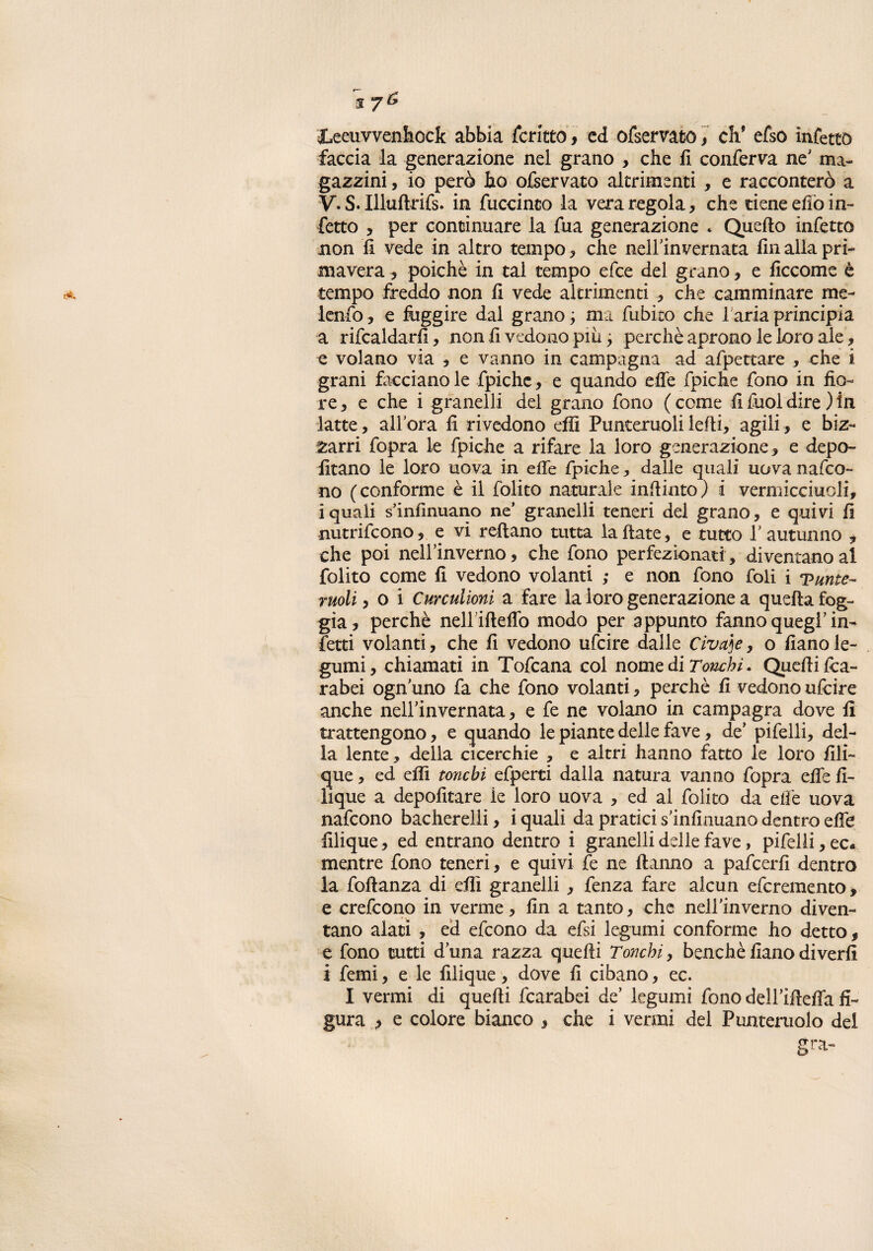 f— 17^ JLeeuwenhcck abbia fcrictd, ed ofsemto, eh* efso infetto faccia la generazione nel grano , che fi conferva ne’ ma¬ gazzini , io però ho ofservato altrimenti , e racconterò a V* S. Illuftrifs. in fuccinto la vera regola, che tiene efiò in¬ fetto , per continuare la fua generazione » Quello infetto non fi vede in altro tempo * che neH’invernata fin alla pri¬ mavera , poiché in tal tempo efee del grano, e ficcome è tempo freddo non fi vede altrimenti , che camminare me- lenfo, e fiiggire dal grano ; ma fubico che 1 aria principia a rifcaldarfi, non fi vedono piu ; perchè aprono le loro ale , e volano via , e vanno in campagna ad affettare , che i grani facciano le fpichc, e quando effe fpiche fono in fio¬ re , e che i granelli del grano fono ( come fi fuol dire ) in latte, all'ora fi rivedono efìì Punteruolileffi, agili, e biz¬ zarri fopra le fpiche a rifare la loro generazione, e depo- fitano le loro uova in effe fpiche, dalle quali uova nafeo- no (conforme è il folito naturale infinito) i vermicciuoli, iquali s’infìnuano ne’ granelli teneri del grano, e quivi fi nutrifeono, e vi reffano tutta la fiate, e tutto T autunno , che poi nelfinvemo, che fono perfezionati , diventano al folito come fi vedono volanti ; e non fono foli i 'Punte¬ ruoli , o i Cureulioni a fare la loro generazione a quella fog¬ gia, perchè nell ifteffo modo per appunto fanno quegl’in¬ fetti volanti, che fi vedono ufeire dalle Civaie, o fianole¬ gumi, chiamati in Tofcana col nome ài Tonchi. Quelli Ica- rabei ogn uno fa che fono volanti, perchè fi vedono ufeire anche nell’invernata, e fe ne volano in campagra dove fi trattengono, e quando le piante delle fave, de’ pifelli, del¬ la lente, della cicerchie , e altri hanno fatto le loro fili- que, ed effì tonchi efperti dalla natura vanno fopra effe fi- lique a depofitare le loro uova , ed al folito da elle uova nafeono bacherelii, i quali da pratici s’infinuano dentro effe filique, ed entrano dentro i granelli delle fave, pifelli, ec« mentre fono teneri, e quivi fe ne ftanno a pafeerfi dentro la foftanza di elfi granelli , fenza fare alcun eferemento, e crefcono in verme, fin a tanto, che nell'inverno diven¬ tano alati , ed efeono da efsi legumi conforme ho detto, e fono tutti duna razza quelli Tonchi, benché fiano diverfi i femi, e le filique, dove fi cibano, ec. I vermi di quelli fcarabei de’ legumi fono dell’iffeffa fi¬ gura , e colore bianco , che i vermi dei Punteruolo del