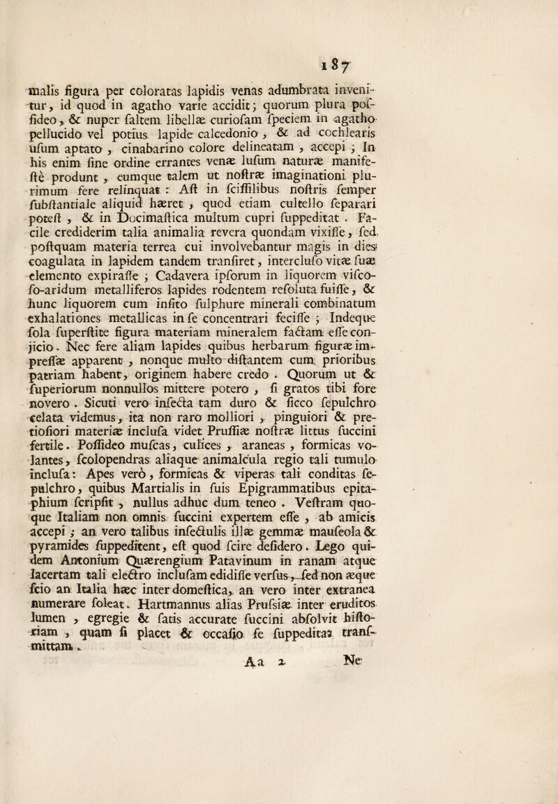 malis figura per coloratas lapidis venas adumbrata inveni-- tur, id quod in agatho varie accidie; quorum plura poi- fideo * &: nuper faltem libelli curiofam fpeciem in agatho pellucido vel potius lapide calcedonio , ad ccchl'earis iifura apeato , cinabarino colore delineatam , accepi ; In his enim fine ordine errantes venas iufum natura manife- ftè produnt , eumque talem ut nqftrae imaginationi plu- rimum fere relmquat : Aft in feiffìlibus noflrìs femper fubffantiale aliquid hasret , quod edam cultello feparari potefl , & in Docimaffica multum cupri fuppeditat . Fa¬ cile crediderim talia ammalia revera quondam vixiffe, fed, poftquam materia terrea cui involvebantur magis in diesi coagulata in lapidem tandem tranfiret , interclufo vitae.fuae demento expirafle ; Cadavera ipforum in liquorem vifeo- fo-aridum metalliferos lapides rodentem refoluta fui de, & hunc liquorem cum infito fulphure minerali combinatum exhalationes metallicas in fe concentrar! feciffe ; Indeque fola fuperftice figura materiam mineralem fadam effe con¬ scio. Nec fere aliam lapides quibus herbarum fìguraeim- preffee apparent , nonque muftodiff antem cum; prioribus patriarci habent, originem habere crèdo . Quorutn ut & fuperiorum nonnullos mittere poterò , fi gratos tibi fore novero .. Sicuri vero infeda tam duro & ficco fdpulchro celata videmus, ita non raro molliori , pingmori & pre- tiofiori materia^ inclufa videt Pruffìas nodras littus fuccini ferrile. Poflìdeo mufeas, culices r araneas , formicas vo- lantes, fcolopendras aliaque animalcula regio tali tumulo inclufa: Apes verò, formicas & viperas; tali conditas fe- pulchro, quibus Martialis in fuis Epigrammatibus epita- phium fcrìpfit , nullus adhuc duna teneo . Veftram quo¬ que Italiana non omnis fuccini expertem effe , ab amicis accepi ; an vero talibus infefiulis. illae gemmas maufeola &: pyramides fuppeditent, eft quod feire defidero. Lego qui- dem Antonium Quaerengium Patavinum in ranam atque lacertam tali eledro inclufam edidiffe verfus ,-fed non aeque feio an Italia haec inter domeftica,, an vero inter extranea numerare foleat. Hartmannus alias Prufsiae inter eruditos lumen , egregie éc fatis accurate fuccini abfoìvit hiffo- rìam , quam fi placet & cccafio fe fuppeditai tranf- mittam ». A a x Ne'