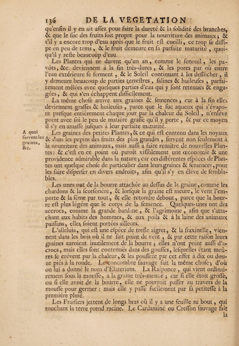 qu’enfin il y en ait allez pour faire la dureté 6c la folidité des branches* 6c que le fuc des fruits foit propre pour la nourriture des animaux $ & s’il y a encore trop d’eau après que le fruit eft cueilli, ce trop fe difli- pe en peu de tcms , 6c le fruit demeure en fa parfaite maturité , quoi* qu’il y relie beaucoup d’eau. Les Plantes qui ne durent qu’un an 5 comme le fenouil , les pa¬ vots, &c. deviennent à la fin très-dures, 6c les pores par où entre l’eau extérieure fe ferment , ôt le Soleil continuant à les defleçher, il y demeure beaucoup de parties terreftres , falines 6c huileufes , parfai¬ tement mêlées avec quelques parties d’eau qui y font retenues & enga¬ gées , 6c qui s’en échappent difficilement, La même çholé arrive aux graines 6c femences, car à la fin elles deviennent grades 6c huileufes , parce que le fuc aqueux qui s’évapo¬ re prefque entièrement chaque jour par la chaleur du Soleil , n’enléve point avec foi le peu de matière gradé qu’il y porte , 6c par ce moyen il s’y en amadé jufques a leur parfaite maturité. A quoi Les graines des petites Plantes, 6c ce qui eft contenu dans les noyaux fervent les ^ dans }es pépins des fruits des plus grandes , fervent non feulement à IL, ' la nourriture des animaux, mais auffi à faire renaître de nouvelles Plan¬ tes ; 6c e’eft en ce point où paroît vifiblement une oeconomie 6c une providence admirable dans la nature, car ces différentes efpéces de Plan¬ tes ont quelque chofe de particulier dans leurs graines 6c femences,pour les faire difperfcr en divers endroits, afin qu’il s’y en éléve de fembla* blés. Les unes ont de la bourre attachée au deffus de la graine, comme les chardons Sc la feorfonére, 6c lorfque la graine eft meure, le vent l’em¬ porte 6c la féme par tout, 6c elle retombe debout, parce que la bour¬ re eft plus légère que ].e corps de la femcnce. Quelques-unes ont des accrocs, comme la grande bardane , 6c l’agrimoine , afin que s’atta¬ chant aux habits des hommes, 6c aux poils 6c à la laine des animaux paiftans, elles, foient portées ailleurs, L’alleluia, qui eft une efpéçe de trefie aigret, & la fraxinelle, vien¬ nent dans les bois où il ne fait point de vent , 6c par cette raiion leurs graines auroient inutilement de la bourre ^ elles n’ont point auffi d’ac¬ crocs , mais elles font contenues dans des gonflés, lefquelies étant meu¬ res fe crèvent par la chaleur, 6c les pouffent par cet effet à dix ou dou¬ ze pies à la ronde, Le*concombre fauvage fait la même çhofe j d’où on lui a donné le nom d’EIaterium, La Raiponce , qui vient ordinai¬ rement fous la mouffe, a la graine très-menue ; car fi elle étoit gradé, ou fi elle avoit de la bourre, elle ne pourroit paflér au travers de la moufle pour germer ; mais elle y paiïè facilement par fit petiteflé à la première pluie, Les Fraifiers jettent de longs bras où U y a une feuille au bout, qui touchant la terre prend racine. Le Cardaminé ou Greffon fauvage tait