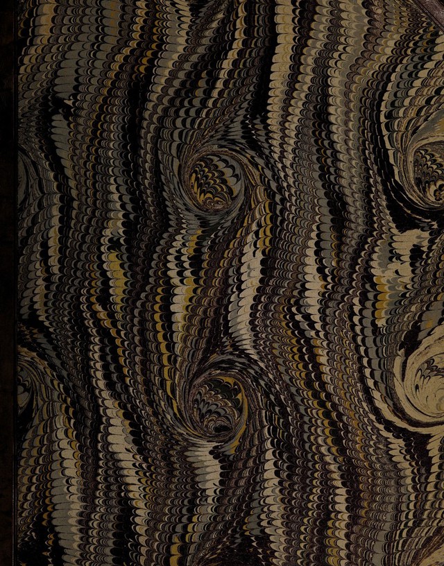 digitised image 1