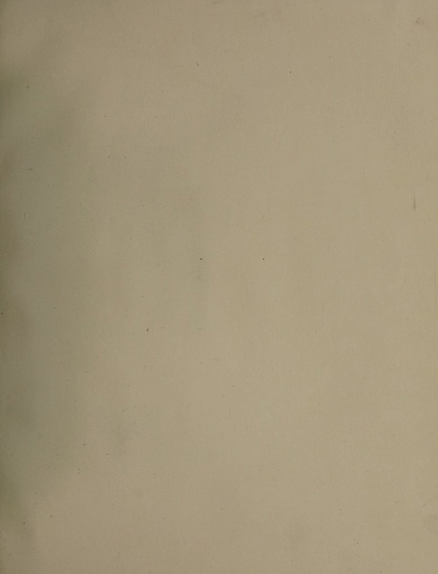 digitised image 3