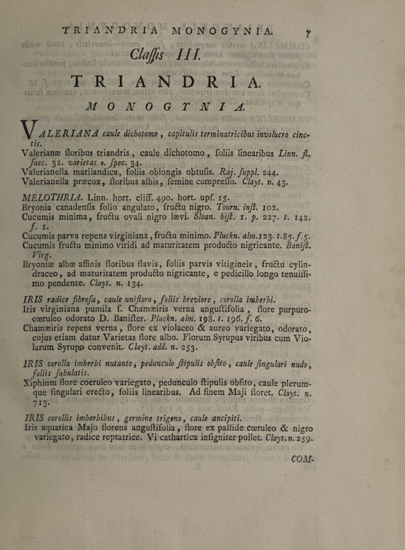 r ClaJJis III. TRIANDRIA. in oi iu:/.’ tftuiJd 0:10, o.nJUqru t o * •>. r J/ 0 NO G T N I A. ALERIANA caule dichotomo , capitulis terminatricibus involucro cinc¬ tis. Valerianae floribus triandris, caule dichotomo, foliis linearibus Linn. fl* fuec. 32. varietas i. fpec. 34. Valerianella marilandica, foliis oblongis obtufis. Raj.fuppl. 244. Valerianella praecox, floribus albis, femine compreflo. C/ayf. rc. 43. MELOTHRIA. Linn. hort. cliff. 490. hortr upf. 15. Bryonia canadenfis folio angulato, fruflu nigro. Tourn. injl. 102. Cucumis minima, fruflu ovali nigro laevi. Sloan. hiji. 1. p. 227. t. 142. /• i- Cucumis parva repens virginiana, fruflu minimo. Pluckn. alm. 123. t.Ss-f-5- Cucumis fruflu minimo viridi ad maturitatem produfto nigricante. Banift. Virg. Bryoniae albae affinis floribus flavis, foliis parvis vitigineis, fruflu cylin- draceo, ad maturitatem produfto nigricante, e pedicillo longo tenuiffi- mo pendente. Clayt. n. 134. IRIS radice fibrofa, caule uni floro, foliis breviore, corolla imberbi. Iris virginiana pumila f. Chamaeiris verna anguflifolia , flore purpuro- coeruleo odorato D. Banifler. Pluckn. alm. 198. t. 196./. 6. Chamaeiris repens verna, flore ex violaceo & aureo variegato, odorato, cujus etiam datur Varietas flore albo. Florum Syrupus viribus cum Vio¬ larum Syrupp convenit. Clayt. add. n. 253. IRIS corolla imberbi nutante, pedunculo Jiipulis obfito , caule fingulari nudo ^ foliis fabulatis. Xiphium flore coeruleo variegato, pedunculo ftipulis obfito, caule plerum¬ que fingulari ereflo, foliis linearibus. Ad finem Maji floret. Clayt. n. 713- IRIS corollis imberbibus, germine trigono, caule ancipiti. Iris aquatica Majo florens anguflifolia, flore ex pallide coeruleo & nigro variegato, radice reptatrice. Vi cathartica inflgniter pollet. Clayt.n.259. COM-