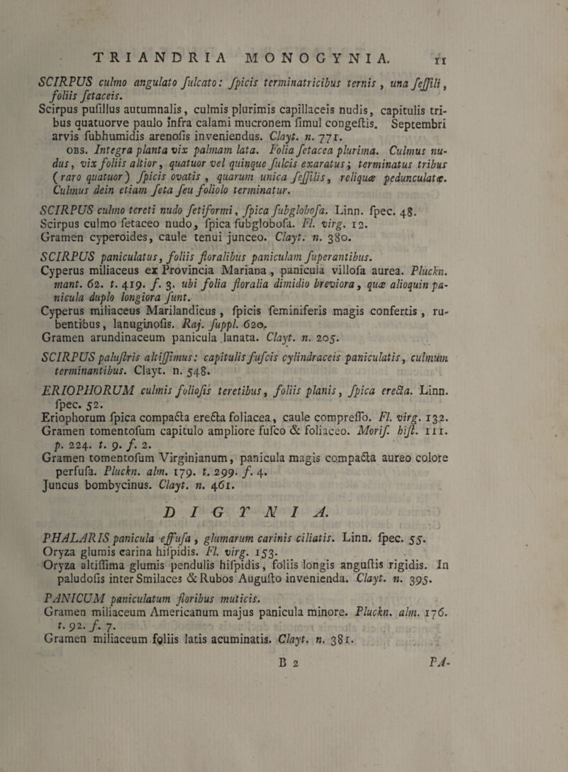 ir SCIRPUS culmo angulato fulcato: Jpicis terminatricibus ternis , una fejjili, foliis fetaceis. Scirpus pufillus autumnalis, culmis plurimis capillaceis nudis, capitulis tri¬ bus auatuorve paulo infra calami mucronem fimul congeflis. Septembri arvis fubhumidis arenofis inveniendus. Clayt. n. 771. obs. Integra planta vix palmam lata. Folia fetacea plurima. Culmus nu¬ dus , vix foliis alti or, quatuor vel quinque fulcis exaratus; terminatus tribus (raro quatuor) fpicis ovatis , quarum unica fejfilis, reliqua pedunculatcc. Culmus dein etiam feta f eu foliolo terminatur. SCIRPUS culmo tereti nudo fetiformi, fpica fubglobofa. Linn. fpec. 48. Scirpus culmo fetaceo nudo, lpica fubglobofa. FI. virg. 12. Gramen cyperoides, caule tenui junceo. Clayt. n. 380. SCIRPUS paniculatus, foliis floralibus paniculam fuperantibus. Cyperus miliaceus ex Provincia Mariana , panicula villofa aurea. Pluckn. mant. 62. t. 419. f. 3. ubi folia floralia dimidio breviora, quce alioquin pa¬ nicula duplo longiora funt. Cyperus miliaceus Marilandicus, fpicis feminiferis magis confertis , ru¬ bentibus , lanuginofis. Raj. fuppl. 620. Gramen arundinaceum panicula Janata. Clayt. n. 205. SCIRPUS paliijlris altijjimus: capitulis fufcis cylindraceis p ani culatis, culmum terminantibus. Clayt. n. 548. ERIOPHORUM culmis foliofls teretibus, foliis planis, fpica eredi a. Linn. fpec. 52. Eriophorum fpica compa&a ere&a foliacea, caule compreflo. FI. virg. 132. Gramen tomentofum capitulo ampliore fufco & foliaceo. Morifl hi fi. m. p. 224. t. 9. f. 2. Gramen tomentofum Virginianum, panicula magis compa&a aureo colore perfufa. Pluckn. alm. 179. t, 299. /. 4. Juncus bombycinus. Clayt. n. 461. B I G T N 1 A. PHALARIS panicula effufa, glumarum carinis ciliatis. Linn. fpec. 55. Oryza glumis carina hifpidis. FI. virg. 153. Oryza altiffima glumis pendulis hifpidis, foliis longis anguftis rigidis. In paludofis inter Smilaces & Rubos Augulto invenienda. Clayt. n. 395. PANICUM paniculatum floribus muticis. Gramen miliaceum Americanum majus panicula minore. Pluckn. alm. 176. f. 92. f. 7♦ Gramen miliaceum foliis latis acuminatis. Clayt. n. 381. B 2 PJ-