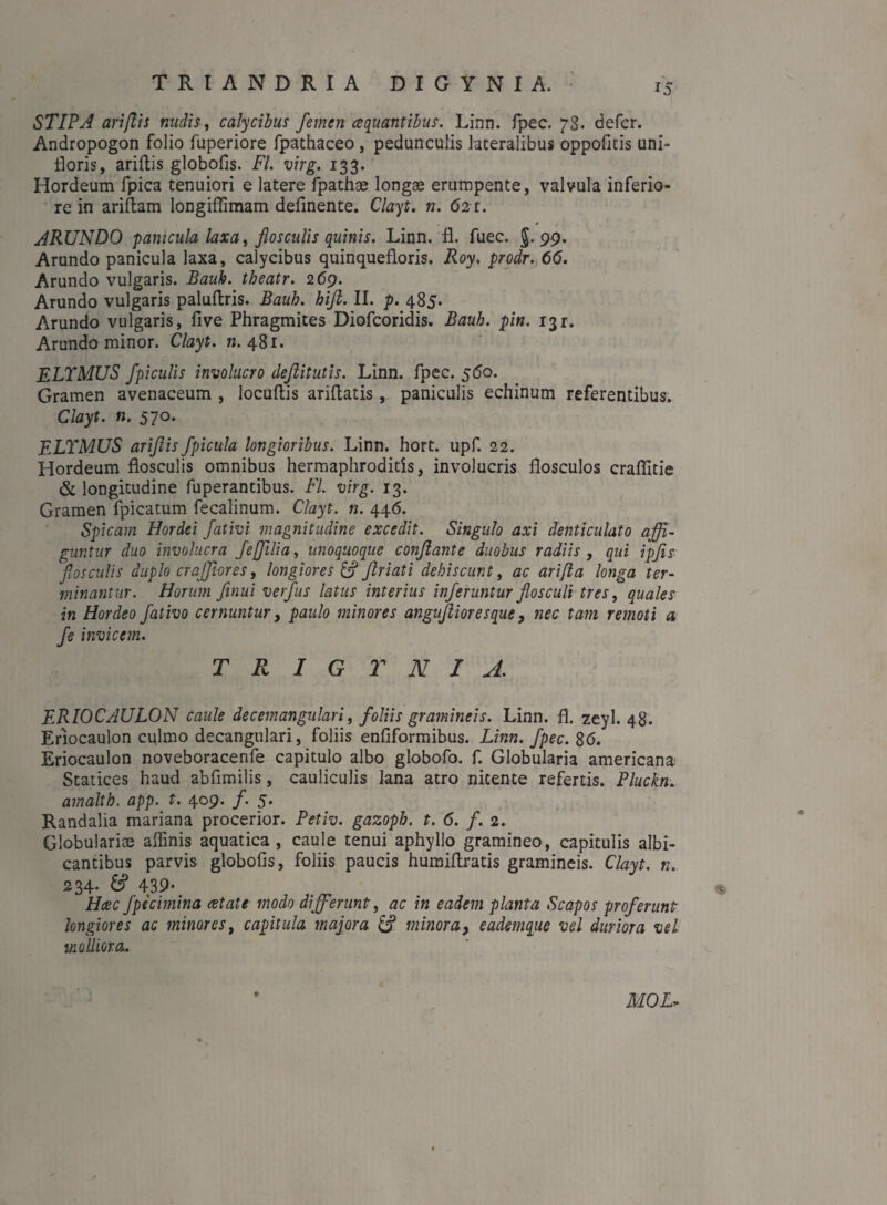 STIPA ari/lis nudis, calycibus femen aequantibus. Linn. fpec. 73. defer. Andropogon folio fuperiore fpathaceo , pedunculis lateralibus oppofitis uni- floris, ariftis globofis. FL virg. 133. Hordeum fpica tenuiori e latere fpathae longae erumpente, valvula inferio¬ re in ariftam longiffimam definente. Clayt, n. 621. ARUNDO panicula laxa, flosculis quinis. Linn. fl. fuee. 5.99. Arundo panicula laxa, calycibus quinquefloris. Roy. prodr. 66. Arundo vulgaris. Bank, theatr. 269. Arundo vulgaris paluftris. Bauh. hift. II. p. 485. Arundo vulgaris, five Phragmites Diofcoridis. Bauh. pin. 131. Arundo minor. Clayt. n. 481. ELTMUS Jpiculis involucro deftitutis. Linn. fpec. 560. Gramen avenaceum , Iocuftis ariflatis, paniculis echinum referentibus. Clayt. n. 570. ELTMUS ariftis/picula longioribus. Linn. hort. upf. 22. Hordeum flosculis omnibus hermaphroditis, involucris flosculos craflitie & longitudine fuperandbus. FL virg. 13. Gramen fpicatum fecaiinum. Clayt. n. 446. Spicam Hordei fativi magnitudine excedit. Singulo axi denticulato affi¬ guntur duo involucra fefilia, unoquoque conflante duobus radiis , qui ipfis flosculis duplo craffleres, longiores & flriati dehiscunt, ac arifla longa ter¬ minantur. Horum finui verfus latus interius inferuntur flosculi tres, quales in Hordeo fativo cernuntur, paulo minores anguftioresque, nec tam remoti a fe invicem. T R I G T N I A. ERIOCAULON caule decemangulari, foliis gramineis. Linn. fl. zeyl. 48. Eriocaulon culmo decangulari, foliis enfiformibus. Linn. fpec. 86. Eriocaulon noveboracenfe capitulo albo globofo. f. Globularia americana Statices haud abfimilis, cauliculis lana atro nitente refertis. Pluckn. amalth. app. t. 409. f. 5. Randalia mariana procerior. Petiv. gazoph. t. 6. f. 2. Globularioe affinis aquatica , caule tenui aphyllo gramineo, capitulis albi¬ cantibus parvis globofis, foliis paucis humiflratis gramineis. Clayt. n. 234- 439- Hcec Jpecimina eetate modo differunt, ac in eadem planta Scapos proferunt longiores ac minores, capitula majora minor a} eademque vel duriora vel molliora. * MOL.