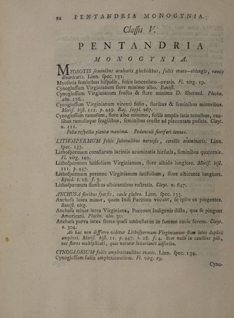 14 Clajfis. V. pentandria ' -• ' 1 ' i , M O N O G T N 1 A. ^/^TO SOTAS feminibus aculeatis glochidibus, foliis ovato—oblongis, ramis divaricatis. Linn. fpec. 131. Myofotis feminibus hifpidis, foliis lanceolato—ovatis. FI. virg. 19. Cynogloflum Virginianum flore minimo albo. Banifl. Cynogloflum Virginianum fru6tu & flore minimo D. Sherard. Pluckn.. ahn. 126.. Cynogloflum Virginianum virenti folio, floribus & feminibus minoribus. Morif. hijl. m. p- 449- Raj. fuppl. 367. Cynogloflum ramofum, flore albo minimo, foliis amplis latis tenuibus, cau¬ libus ramulisque fragilibus, feminibus ere&e ad placentam politis. Clayi. n. m. Folia refpettu plantes maxima. Pedunculi floriferi tenues. LITHOSPERMUM foliis fubovalibus nervofis, corollis acuminatis. Linn. fpec. 133- / Lithofpermum corollarum laciniis acuminatis hirfutis,. feminibus quaternis.. FI. virg. 140. Lithofpermum latifolium Virginianum, flore albido longiore. Morif. hijt. nt. p. 447. Lithofpermum perenne Virginianum latifolium, flore albicante longiore., Ejusd. t. 28- f. 3. Lithofpermum floribus albicantibus roflratis. Clayt. n. 647. JNCHUS A floribus fparfis, caule glabro. Linn. fpec. 133. Anchufa lutea minor, quam Indi Puccoon vocant, fe ipfos ea pingentes. Banifl. virg. Anchufa minor lutea Virginiana* Puccoon Indigenis di&a, qua fe pingunt Americani. Pluckn. alm. 30. Anchufa parva lutea flores quafi umbellatim in fummo caule ferens. Clayt. n. 304. Ab hac non differre videtur Lithofpermum Virginianum flore luteo duplici:’ ampliori. Morif hift. 11. p. 447. t. 28. f. 4. licet nulli in caulibus pili,, nec flores multiplicati, quos natur ce luxurianti adferibo. CTNOGLOSSUM foliis amplexi caulibus ovatis. Linn. fpec. 134. Cynogloflum foliis amplexicaulibus. FI. virg. r9. Cyno».