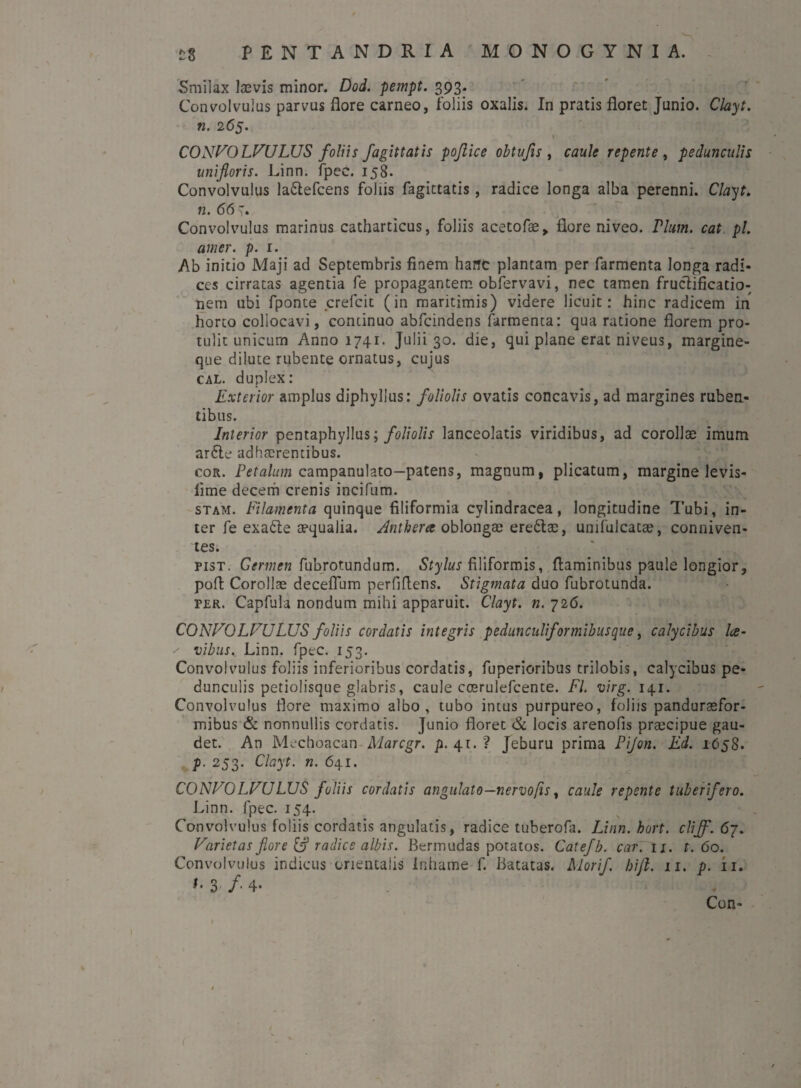 Smilax laevis minor. Dod. pempt. 393. Convolvulus parvus flore carneo, foliis oxalis. In pratis floret Junio. Clayt. n. 265. CONVOLVULUS foliis fagittatis pojlice obtufis, caule repente , pedunculis unifioris. Linn. fpec. 158. Convolvulus la&efcens foliis fagittatis, radice longa alba perenni. Clayt. n. 66 Convolvulus marinus catharticus, foliis acetofae, flore niveo. Pium, cat pl. amer. p. 1. Ab initio Maji ad Septembris finem harft plantam per farmenta longa radi¬ ces cirratas agentia fe propagantem obfervavi, nec tamen fructificatio¬ nem ubi fponte crefcit (in maritimis) videre licuit: hinc radicem in horto collocavi, continuo abfcindens farmenta: qua ratione florem pro¬ tulit unicum Anno 1741. Julii 30. die, qui plane erat niveus, margine¬ que dilute rubente ornatus, cujus cal. duplex: Exterior amplus diphyllus: foliolis ovatis concavis, ad margines ruben¬ tibus. Interior pentaphyllus; foliolis lanceolatis viridibus, ad corollae imum ar6le adhaerentibus. cor. Petalum campanulato—patens, magnum, plicatum, margine levis- lime decem crenis incifum. stam. Filamenta quinque filiformia cvlindracea, longitudine Tubi, in¬ ter fe exadte aequalia. Anthera oblongae eredtae, unifulcatae, conniven- tes. pist. Germen fubrotundum. Stylus filiformis, flaminibus paule longior, pofl Corollae deceffum perfidens. Stigmata duo fubrotunda. per. Capfula nondum mihi apparuit. Clayt. n. 726. CONVOLVULUS foliis cordatis integris peduncnliformibusque, calycibus Ice- / vibus. Linn. fpec. 153. Convolvulus foliis inferioribus cordatis, fuperioribus trilobis, calycibus pe¬ dunculis petiolisque glabris, caule coerulefcente. FI. virg. 141. Convolvulus flore maximo albo, tubo intus purpureo, foliis panduraefor- mibus & nonnullis cordatis. Junio floret & locis arenofis praecipue gau¬ det. An Mechoacan Marcgr. p. 41. ? Jeburu prima Pijon. Ed. 1C58. p. 253. Clayt. n. 641. CONVOLVULUS foliis cordatis angulato—nervo fis, caule repente tuberifero. Linn. fpec. 154. Convolvulus foliis cordatis angulatis, radice tuberofa. Linn. hort. cliff. 67. Varietas flore & radice albis. Bermudas potatos. Catefb. carTli. t. 60. Convolvulus indicus orientalis Inhame f. Batatas. Morif. hijl. 11. p. 11. 1. 3 /. 4. Con- <