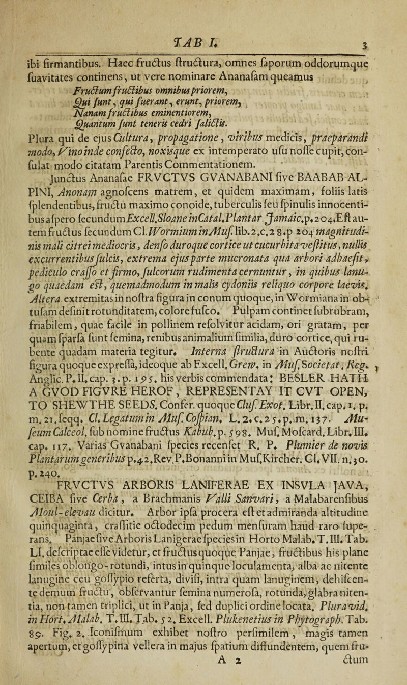 7AB L 5 ibi firmantibus. Haec frudtus ftrudlura, omnes faporum oddorumque fuavitates continens, ut vere nominare Ananafamqueamus Frudum frudibus omnibus priorem, Qui funt, qui fuerant, erunt, priorem, Nanam frudibus eminent ior em, Quantum funt teneris cedri falidis. Plura qui de ejus Cultura, propagatione, viribus medicis, praeparandi modo, Vinoinde conjePto, noxisque ex intemperato ufu nolle cupit, con- fulat modo citatam Parentis Commentationem, Junclus Ananafae FRVCTVS GVANABANI five BAABAB AL¬ PINI, Anonam agnofcens matrem, et quidem maximam, foliis latis fplendentibus,frudtu maximoconoide,tuberculisfeu fpinulis innocenti¬ bus afpero kcundumExcell.SloaneinCataLPlantar.Jamaic.p^o^Efi au- temfrudius fecun dum Cl.IVormium inAlufWb. 2 »c,2 8 «p 204 magnitudi¬ nis mali citrei mediocris, denfo duroque cortice ut cucurbita vefiitus, nullis excurrentibus fulcis, extrema ejus parte mucronata qua arbori adbaefit, pediculo crajfo et jirmo, fulcorum rudimenta cernuntur, in quibus lanu¬ go quaedam eft, quemadmodum in malis cydoniis reliquo corpore laevis. Altera extremitas in nofira figura in conum quoque, in Wormiana in ob- tufam definit rotunditatem, colore fufco* Pulpam continet fubrubram, friabilem, quae facile in pollinem refolvitur acidam, ori gratam, per quamfparfa funt femina, renibus animalium fimilia, duro cortice, qui ru¬ bente quadam materia tegitur* Interna JlruSura in Audloris ncflri figura quoque expreffa,ideoque abF.xcelf Grerv* in Ahif Socie tat. Reg* Anglic. P* II* cap. 3. p. 1.9 5* his verbis commendata! BESLER HATH A GVOD FIGVRE HEROF , REPRESENTAY IT CVT OPEN, TO SHEWTHE SEEDS* Confer. quoqueCluf.Exot. Librjf cap* 1. p. m4 214 feqq* C/* Legatum in Aluf Cojpian. L, 2* c* 2 5 * p, m. 13 7 • Aiu- feumCalceoi fub nominefrudlus Kabub,p. 59$. MufMofcard.Libr*III* cap* 117. Varias Gvanabani Ipecies recenfet R. P* Plumier de novis Plantarumgeneribus p ♦,42* Rev.P*Bonanniin MufRircher. Cl* VII. n,$o. p.i40* FRVCTVS ARBORIS LANIFERAE EX INSVLA ]AVA, CEIBA five Cerba , a Brachmanis Valli Sanvari, a Malabarenfibus Aloul-elevau dicitur* Arbor ipfa procera efl: et admiranda altitudine quinquaginta, craffitie odtodecim pedum menfuram haud raro fupe- rans4 Panjae five Arboris Lanigerae fpecies in Horto Malab* T. III* Tab* LI. defcriptaeeffe videtur,etfrudlusquoque Panjae, frudlibus his plane fimiles oblongo- rotundi, intus in quinque-loculamenta, alba ac nitente lanugine ceu goffypio referta, divifi, intra quam lanuginem, dehifcen- te demum fructu, obfervantur femina numerofa, rotunda, glabra niten¬ tia, non tamen triplici, ut in Panja, fed duplici ordine locata. Plura vid. in Hort.Alalab. T*HI. Tab* 5 2, Excell. Plukenetius in Pbytograpb.Tab. 89. Fig, 2, Iconifmum exhibet nofiro perfimilem, magis tamen apertum, etgoilypina vellera in majus fpatium diffundentem, quemfru-