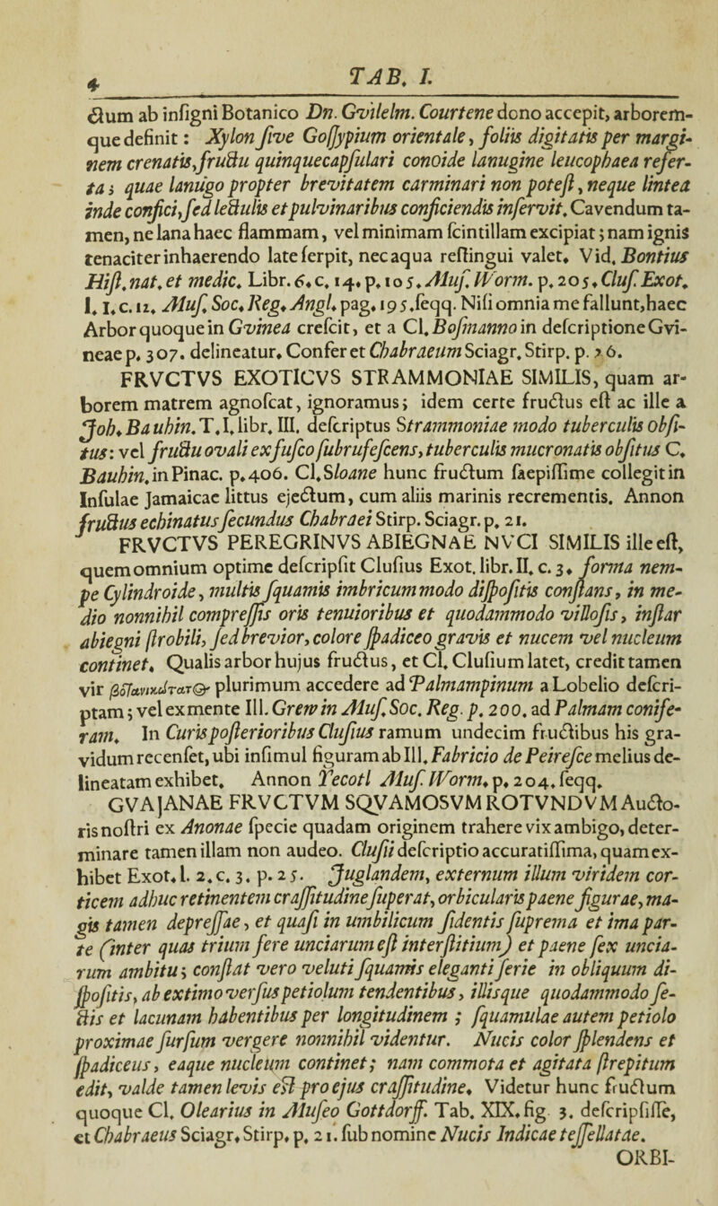 4 #um ab infigni Botanico Dn. Gvilelm. Courtene dono accepit, arborem¬ que definit: Xylon fve Goffypium orientale, foliis digitatis per margi¬ nem crenatis, frufiu quinquecapfulari conoide lanugine leucophaea refer¬ ta i quae lanugo propter brevitatem carminari non potejl, neque lintea inde confici fedlefiulis et pulvinaribus conficiendis in fervit. Cavendum ta¬ men, ne lana haec flammam, vel minimam fcintillam excipiat; nam ignis tenaciter inhaerendo late (er pit, nec aqua reflingui valet* Vi d.Bontius Hift. nat. et medie. Libr. 6* c. 14* p* 1 o 5 ♦ Aluf IVorm. p* 2 o 5 * Cluf Exot. !♦ I* c. n. AlufiSoc.Reg. AngUp^.ig 5 .feqq. Nili omnia me fallunt,haec Arbor quoque in Gvinea crefcit, et a C [.Bofmannoin defcriptioneGvi- neaep* 307. delineatur* Confer et ChabraeumSchgr.Stnp. p. >6. FRVCTVS EXOTICVS STRAMMONlAE SIMILIS, quam ar¬ borem matrem agnofeat, ignoramus; idem certe frudus efl ac ille a Joh.Ba uhin. T,Itlibr* III. deferiptus Strammoniae modo tuberculis obfi- tus: vel frufiu ovali exfufeo fubrufefcens, tuberculis mucronatis obfitus C* Bauhin. in Pinae. p*4o6. Cl*Sloane hunc frudum faepiflime collegit in Infulae Jamaicae littus ejedum, cum aliis marinis recrementis. Annon {rufius echinatusfecundus Chabraei Stirp. Sciagr. p, 21. FRVCTVS PEREGRINVS ABIEGNAE NVCI SIMILIS ille efl, quem omnium optime defcripfit Clufius Exot. libr. II, c. 3* forma nem¬ pe Cylindroide, multis fquamis imbricummodo dijpofitis conflans, in me¬ dio nonnihil compreffis oris tenuioribus et quodammodo viUofis, inflar abiegni (Irobili, Jed brevior, colore Jpadiceo gravis et nucem vel nucleum continet. Qualis arbor hujus frudus, et C\. Clufium latet, credittamen vir fioTctvindrcL?©' plurimum accedere zdTalmampinum aLobelio delcri- ptam; vel ex mente 111 .Grewin AlufiSoc, Reg.p. 200. ad Palmam conife¬ ram. In Curispoflerioribus Clufius ramum undecim frudibus his gra¬ vidum recenfet, ubi infimul figuram ab l\\. Fabricio de Peirefce melius de- lineatam exhibet* Annon Tecotl Aluf Worm. p* 204* feqq* GVAJANAE FRVCTVM SQVAMOSVMROTVNDVMAudo- risnoflri ex Anonae fpecie quadam originem trahere vix ambigo, deter¬ minare tamen illam non audeo. Clufii deferiptio accuratiflima, quam ex¬ hibet Exot* l. 2. c. 3. p. 2 5. Juglandem, externum illum viridem cor¬ ticem adhuc retinentem crajjitudinefuperat, orbicularis paene figurae, ma¬ gis tamen depreffae, et quafi in umbilicum fidentis fuprema et ima par¬ te (inter quas trium fere unciarum efl interftitium) et paene fex uncia¬ rum ambitu; confiat vero veluti fquamis eleganti fierie in obliquum di- jpofitis, ab extimo verfius petiolum tendentibus, illis que quodammodo fe¬ ti is et lacunam habentibus per longitudinem ; fquamulae autem petiolo proximae furfum vergere nonnihil videntur. Nucis color Jplendens et (padiceus, eaque nucleum continet; nam commota et agitata (Irepitum edit, valde tamen levis efl pro ejus craffitudine* Videtur hunc frudum quoque Cl. Olearius in Alufeo Gottdorff. Tab. XIX* fig 3. defcripfifle, ct Cbabraeus Sciagr* Stirp* p* 21. fub nomine Nucis Indicae tejfellatae. ORBI-