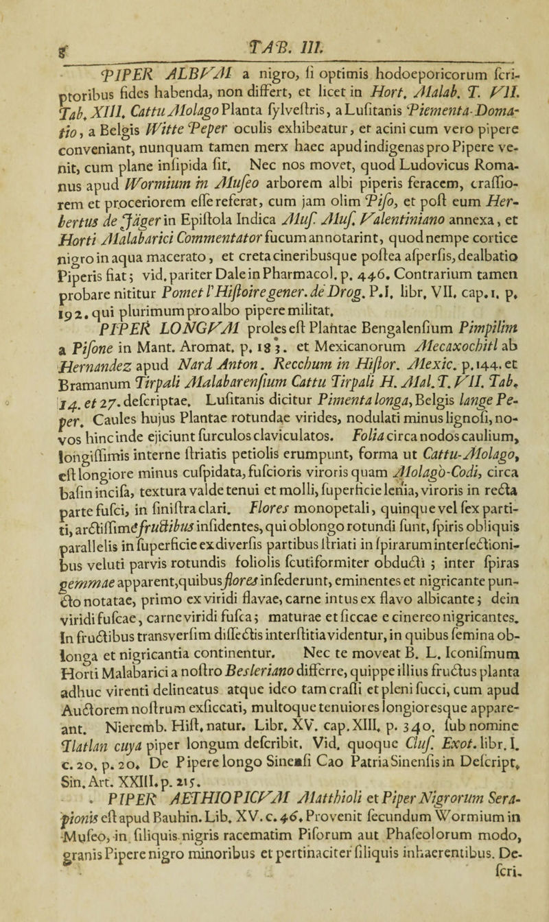 2 PIPER ALBfSM a nigro, li optimis hodoeporicorum fcri- ptoribus fides habenda, non differt, et licet in Hort. Aldldb. T. Vll. Tdb.XUl. Cdttu Alolago Planta fylveftris, aLufitanis Biementd-Doma- tioi a Belgis IVitte Peper oculis exhibeatur, er acini cum vero pipere conveniant, nunquam tamen merx haec apud indigenas pro Pipere ve¬ nit, cum plane infipida fit. Nec nos movet, quod Ludovicus Roma¬ nus apud IVormium m Alufeo arborem albi piperis feracem, traffio- rem et proceriorem effe referat, cum jam olim Pifo, et poft eum Her- bertus de ffdger in Epiftola Indica Aluf. Aluf. Vdentinidno annexa, et Horti Alaldbdrici Commentdtor fucum annotarint, quod nempe cortice nigro in aqua macerato, et creta cineribusque poflea afperfis, dealbatio Piperis fiat; vid. pariter Dale in Pharmaco), p, 446. Contrarium tamen probare nititur PometTHifloiregener.de Drog.P A. libr, VII. cap.i, p, 192. qui plurimum pro albo pipere militat. PIPER LONGVA1 proleseft Plantae Bengalenfium Pimpilhn a Pifone in Mant. Aromat, p, 183. et Mexicanorum Atecaxochitl ab Herndndez apud Ndrd Anton. Reccbum in Hiflor. Alexic. p, 144. et Bramanum Tirpali Alaldbarenfium Cdttu Tirgdli H. Alal.T. VII. Tdb, 14. et 27. deferiptae, Lufitanis dicitur Pimentd longd, Belgis lange Pe- per. Caules hujus Plantae rotundae virides, nodulati minus lignofi, no¬ vos hinc inde ejiciunt furculos claviculatos. Folid circa nodos caulium, longiflimis interne ldriatis petiolis erumpunt, forma ut Cattu-Aloldgot eft longiore minus cufpidata,fufcioris viroris quam Alolago-Codi, circa bafinincifa, textura valde tenui et molli, fuperheie lenia, viroris in re£U parte fufei, in finiftra clari. Plores monopetali, quinque vel fex parti¬ ti, anftiflim t frudibus infidentes, qui oblongo rotundi funt, fpiris obliquis parallelis in fuperheie exdiverfis partibus llriati in fpiraruminterfedioni- bus veluti parvis rotundis foliolis fcutiformiter obdudii \ inter fpiras Qemmde apparent,cpxxbusflores infederunt, eminentes et nigricante pun- <fto notatae, primo ex viridi flavae, carne intus ex flavo albicante j dein viridi fufeae, carne viridi fufea \ maturae et ficcae e cinereo nigricantes, in frudfibus transverfim diftecftis interftitia videntur, in quibus femina ob¬ longa et nigricantia continentur. Nec te moveat B. L. Iconifmum Horti Malabarici a noftro Besleridno differre, quippe illius frueftus planta adhuc virenti delineatus atque ideo tamerafli et pleni fucci, cum apud Aucftoremnoftrum exficcati, multoque tenuiores longioresque appare¬ ant. Nieremb. Hift. natur. Libr. XV. cap.XIII, p. 340, lub nomine Ildtldn cuyd piper longum deferibit. Vid. quoque Quf. Exot. libr. I. c. 20. p. 20* De P ipere longo Sineafi Cao PatriaSinenfisin Delcript* Sin. Art. XXIII. p. 215. • PIPER A ET HIO PICH'AI Aldtthioli et Piper Nigrorum Serd- fionis eft apud Rauhin. Lib, XV. c. 46* Provenit fecundum Wormium in -Mufeo, in filiquis nigris racematim Piforum aut Phafeolorum modo, granis Pipere nigro minoribus et pertinaciter filiquis inhaerentibus. De- feru