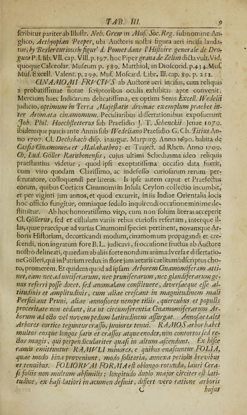 TAT. Ul_P fcribitur pariter ab Illullr. Neb, Grav in Aluj. Soe.Reg. iub nomine An- glico, Aetbyopian 'Peeper, ubi Au&oris nollri figura aeri incifa lauda¬ tur, by Rester curiouslyfigud d. Pometdans rHi/tcire generale de Dro- gues P. I. lib. VII, cap. VIII. p. j 9 7. hoc Piper grana de Zelim didh. vult. Vid. quoque Calceolar. Mufeum p. 589. Matthiof in Diofcorid. P.434.M11P Muf. Excel!. Valent, p, 299, Muf’ Mofcard, Libr* III.cap. 89. p> 252. CINAAIOAII FRFCTVS ab Au&ore acri incifus, cum reliquis a probatiffimae notae feriptoribus oculis exhibitis apte convenit. Mercium haec Indicarum delicatiffima, ex optimi Senis Excell. JVedelii judicio, optimum in Terra Alajeflatis divinae exemplum praebet in¬ ter Aromata cinamomum. Peculiaribus diflertationibus expofiierunt foh. Pbil. Hoechjletterus fub Praefidio J. T. Scbenckii Jenae 16/0, ibidemque paucis ante Annis fub IVedeliano Praefidio G, C h. Titius An¬ no 1707. Ci. Decbsbacb difp. inaugur. Marpurg. Anno 1690. habita de CasjiaCinamomeaet Alalabatbro; et Trajeft. ad Rhen. Anno 1709, Cb. Lud. Goller Ratisbonenfis, cujus ultimi Schediasma ideo reliquis praellantius videtur , quod ipfi exoptatiflima occafio data fuerit, cum viro quodam Clariffimo, ac indefelfo curiofarum rerum per- ferutatore, colloquendi per literas. Is ipfe autem caput et Praefc&us eorum, quibus Corticis Cinamomi in Infula Ceylon colle&io incumbit, et per viginti jam annos,et quod excurrit, iniis Indiae Orientalis locis hoc officio fungitur, omniaque fedulo inquirendi occafroneminimede- ftituitur, Abhochonoratiffimo virp, cum non folum literas acceperit Cl. Gollerus, fed et ciflulam variis rebus curiofis refertam, interque il¬ las, quae praecipue ad varias Cinamomi fpecies pertinent, novamque Ar¬ boris Hifloriam, decorticandi modum,cinamomum propagandi et cre- fcendi, non ingratum foreB.L. judicavi, fioccafionefru&us abAu&ore noftro delineati, quaedam ab aliis forte nondum animad verfa e diflertatio- neGolleri,qui in Patriam redux in flore jam aetatis caelitum 'ad feriptus cho¬ ro, promerem. Et quidem quod ad ipfam Arborem Cinamomiferam atti¬ net, eam nec ad nuci fer arum, nec pruniferarum, nec glandiferarum ge¬ nus referri pojfe docet, fed anomalam confli tuere, diverfaeque ejfe al¬ titudinis et amplitudinis, cum aliae crefcant in magnitudinem mali Perfici aut Pruni, aliae annofiores nempe tiliis , quer cubus et populis proceritate non cedant, ita ut circumferentia Cinamomi fer arum Ar¬ borum ad odo vel novem pedum latitudinem ajfurgat. Annofae tales Arbores cortice teguntur crajfo, juniores tenui. R AAIOS arbor babet multos e os que longos fatis et craffos atque enodes,non contortos fed re- ttos magis, qui perpendiculariter quafi in altum afeendunt* Ex bifee ramis emittuntur R AAIFLI minores, e quibus enafeuntur FOLIA, quae modo bina proveniunt, modo folitaria, annexa petiolis brevibus et tenuibus. FOLIO RFAI FORAIAefl oblongo rotunda, lauri Cera. fi foliis non multum abfimilis; longitudo duplo major circiter efl lati¬ tudine, ex baji latior iin acumen definit, differt vero ratione arboris C hujus