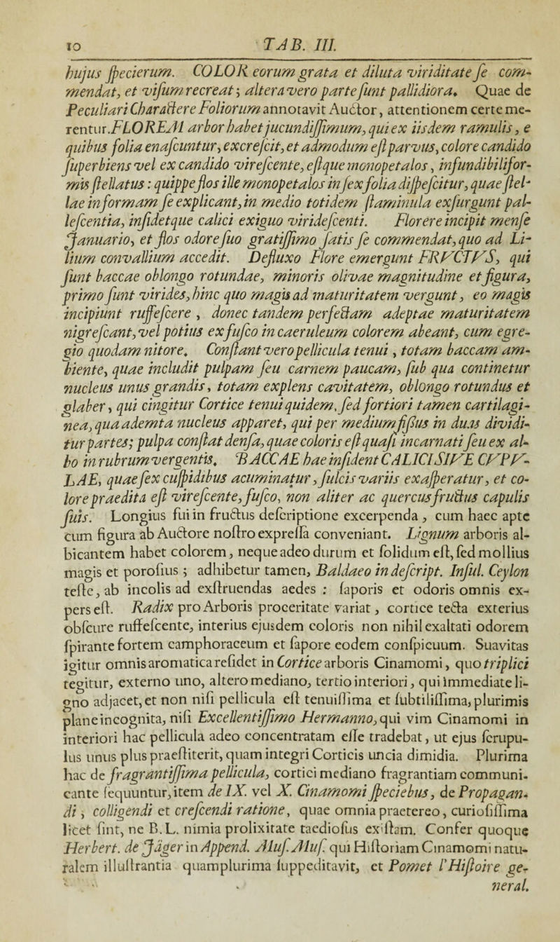 hujus jpccierum. COLOR eorum grata et diluta viriditate fe com¬ mendat, et vifum recreat; altera vero parte funt pallidiora♦ Quae de Peculiari Cbaraftere Foliorum annotavit Audior, attentionem certe me¬ rentur. FLO RE AI arbor habetjucundifflmum, qui ex iisdem ramulis, e quibus folia enafeuntur, excrefcit, et admodum eJIparvus, colore candido fuperbiensvel ex candido virejeente, eftque monopetalos, infundi bilifor- mis ftellatus: quippeflos ille monopetalos inJexfolia dijpeficitur, quae fle F lae informam fe explicant, in medio totidem flaminula exfurgunt pal- lefcentia, infidetque calici exiguo viridefeenti. Florere incipit menfe ffanuario, et flos odorefuo gratifflmo fatis fe commendat, quo ad LF lium convallium accedit. Defluxo Flore emergunt FRFCTF^S, qui funt baccae oblongo rotundae, minoris olivae magnitudine et figura, primo funt virides, hinc quo magis ad maturitatem vergunt, eo magis incipiunt rujfefcere , donec tandem perfeftam adeptae maturitatem nigre fiant, vel potius ex fufeo in caeruleum colorem abeant, cum egre- fio quodam nitore. Conflant vero pellicula tenui, totam baccam am¬ biente, quae includit pulpam feu carnem paucam, fub qua continetur nucleus unus grandis, totam explens cavitatem, oblongo rotundus et glaber> qui cingitur Cortice tenui quidem, fed fortiori tamen cartilagi- fle a, qua ademta nucleus apparet, qui per mediumfifius in duas dividi¬ tur partes; pulpa conflat denfa, quae coloris e fl qua fi incarnati feu ex al¬ bo in rubrum vergentis. BACCAE hae infident C A LICI Slf^E CFPI^- LAE, quae fex cufpidibus acuminatur, fulcis variis exajperatur, et co¬ lore praedita efl virefcente, fufeo, non aliter ac quercusfrutius capulis fuis. Longius fui in fruftus deferiptione excerpenda , cum haec apte cum figura ab Audtore noftroexprella conveniant. Lignum arboris al¬ bicantem habet colorem, neque adeo durum et folidum ell, fed mollius magis et porofius; adhibetur tamen, Baldaeo indefeript. Infui. Ceylon teile,ab incolis ad exflruendas aedes ; faporis et odoris omnis ex¬ pers efi. Radix pro Arboris proceritate variat, cortice teda exterius obfcure ruffefcente, interius ejusdem coloris non nihil exaltati odorem fpirante fortem camphoraceum et fapore eodem confpicuum. Suavitas igitur omnis aromatica refidet in Cortice arboris Cinamomi, quo triplici tegitur, externo uno, altero mediano, tertio interiori, qui immediate li¬ gno adjacet,et non nili pellicula ell tenuifiima et fubtililfima, plurimis plane incognita, nili Excellentiffimo Flermanno, qui vim Cinamomi in interiori hac pellicula adeo concentratam eile tradebat, ut ejus ferupu- lus unus plus praefliterit, quam integri Corticis uncia dimidia. Plurima hac de fragrantiffima pellicula, cortici mediano fragrantiam communi¬ cante (equuntur,item de IX. vel X. Cinamomi Jpeciebus, de Propagan¬ di , colligendi ct crefcendi ratione, quae omnia praetereo, curiofilTima licet fint, ne B.L. nimia prolixitate taediofus exlfam. Confer quoque Herbert. de Jager in Append. Aluf.Aiuf. qui Hilloriam Cinamomi natu¬ ralem illullrantia quamplurima luppeditavit, et Pomet l'Hifloire ge- neral.