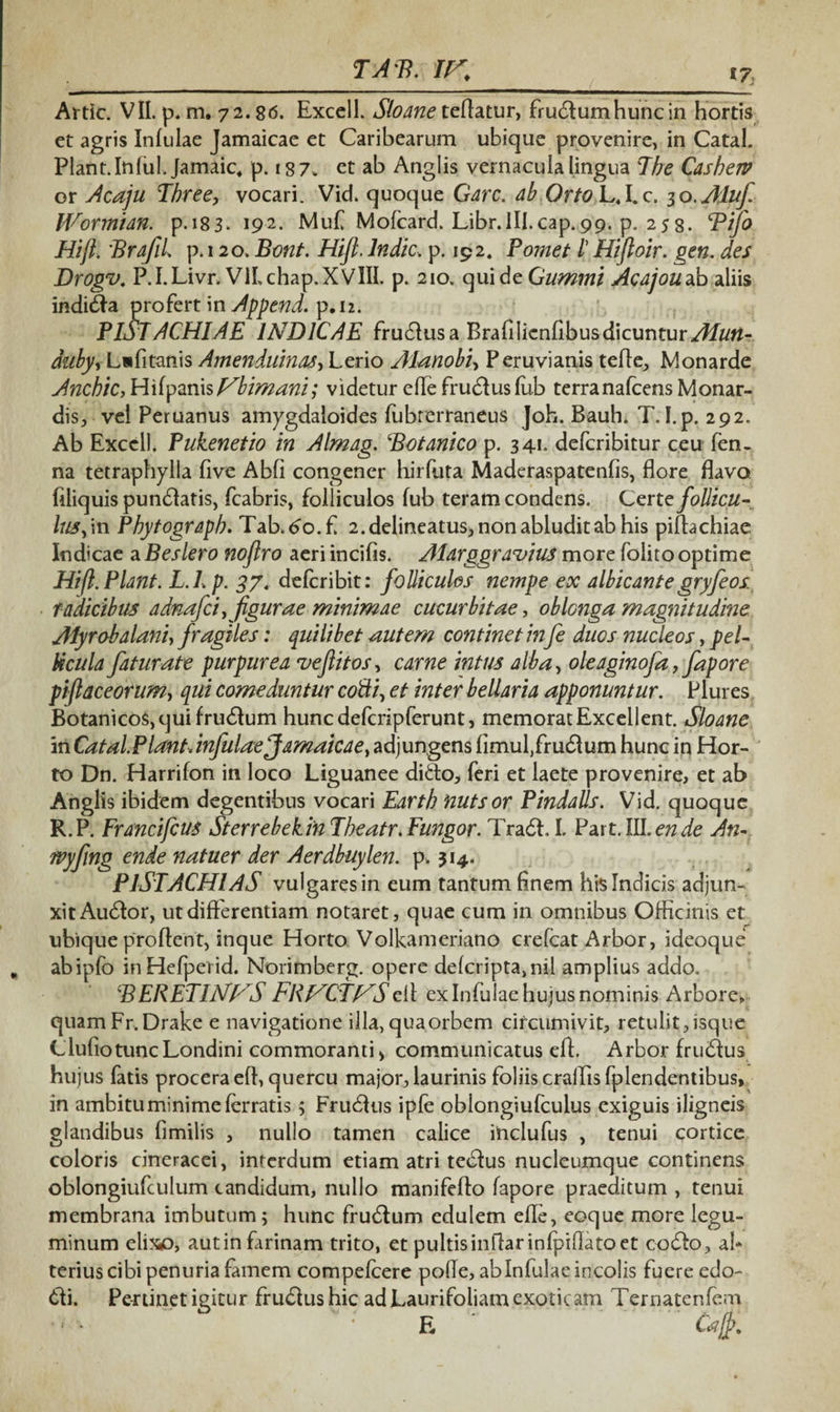 Artic. VII. p. m. 72.86. Excell. Sloane teftatur, frudlumhuncin hortis et agris Infulae Jamaicae et Caribearum ubique provenire, in Catal. Piant. Infui Jamaic, p. 18 7. et ab Anglis vernacula lingua The Casheiv or Acaju Three, vocari. Vid. quoque Garc. ab Orto L,I.c. 30.Aluf. Wormian. p. 183- 192. Muf Mofcard. Libr.lII.cap.99. p. 258. Bifo Hift, Brajil, p. 120. Bont. Hift. Indic, p. 192. Pornet /’ Hiftoir. gen. des Drogv, P.I.Livr. VlLchap.XVlIL p. 210. qui de Gummi Acajouzb aliis indidla profert in Append. p. 12. PlSTACHIAE INDICAE frudlusa Brafilienfibusdicuntur/%wrt- duby, Lsfitanis Amenduinas> Lerio Alanobi^ Peruvianis tefle, Monarde Anchic, HifpanisVbimanii videtur efle frudlus fub terranafcens Monar- dis, vel Peruanus amygdaloides fubrerraneus Joh. Bauh. T. I.p. 292. Ab Excell. Pukenetio in Almag. Botanico p. 341. defcribitur ceu fen- na tetraphylla five Abfi congener hirfuta Maderaspatenfis, flore flavo Aliquis pundfatis, fcabris, folliculos fub teram condens. Certe foliicu- lus, in Phytograph. Tab,<?o.£ 2. delineatus, non abludit ab his piflachiae Indicae aBeslero noflro aeri incifis. Alarggravius more folitooptime Hift. Piant. L.L p. 37. defcribit: folliculos nempe ex albicantegryfeos radicibus adnafci,figurae minimae cucurbitae, oblonga magnitudine Alyrobalani, fragiles: quilibet autem continet infe duos nucleos, pel¬ icula faturate purpurea veftitos, carne intus alba, oleaginofa, fapore piftaceorum, qui comeduntur cotti^ et inter bellaria apponuntur. Plures Botanicos,qui frudlum huncdefcripferunt, memorat Excellent. Sloane aii Catal. Piant, infulae Jamaicae} adjungens fimuffrudium hunc in Hor¬ to Dn. Harrifon in loco Liguanee ditio, feri et laete provenire, et ab Anglis ibidem degentibus vocari Earth nutsor Pindalls. Vid. quoque R.P. Francifcus Sterrebekin Theatr. Fungor. Tradi, I, Par t. III. en de An- rvyfing ende natuer der Aerdbuylen. p. 314. PlSTACHlAS vulgares in eum tantum finem his Indicis adjun- xitAudlor, ut differentiam notaret, quae cum in omnibus Officinis et ubique proflent, inque Horto Volkameriano crefcat Arbor, ideoque abipfb inHefperid. Norimberg. opere defcripta,nil amplius addo. BERETINAS FRVCTfSSefl ex Infulae hujus nominis Arbore» quamFr.Drake e navigatione illa,quaorbem circumivit, retulit,isque ClufiotuncLondini commoranti> communicatus efl. Arbor frudlus hujus fatis procera efl, quercu major, laurinis foliis cralfisfplendentibus, in ambitu minime ferratis 5 Frudlus ipfe oblongiufculus exiguis iligneis glandibus fimilis , nullo tamen calice inclufus , tenui cortice coloris cineracei, interdum etiam atri tedlus nucleumque continens oblongiufculum candidum, nullo manifefto fapore praeditum , tenui membrana imbutum; hunc frudlum edulem efle, eoque more legu¬ minum elixo, aut in farinam trito, et pultis inflarinfpiflato et codlo, ab terius cibi penuria famem compefcere pofle, ab Infulae incolis fuere edo- dli. Pertinet igitur frudlus hic ad Laurifoliam exoticam Ternatenfem E .Caff