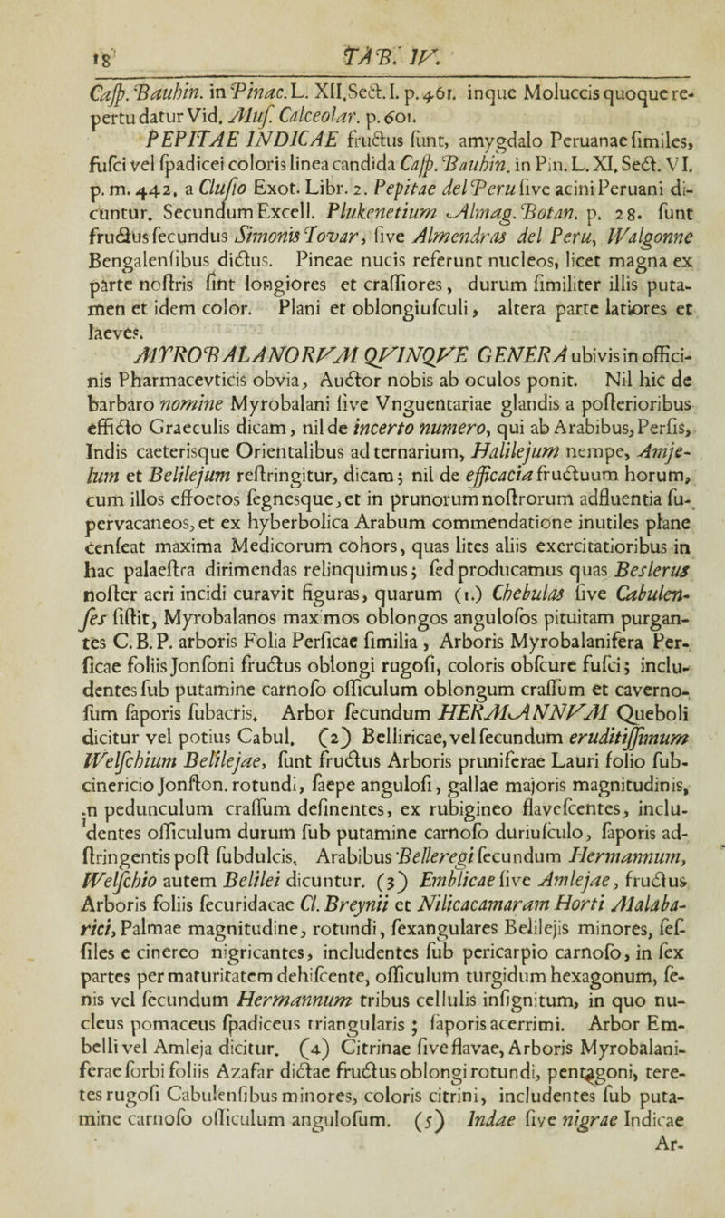 TAT?. 1K »8 Cajp. ‘Baubin. in Tinae. L. XH.Sedt. I. p. 4.61. inque Moluccis quoque re¬ pertu datur Vid, Aluf. Cdlceolar. p. 601. PEPITAE INDICAE fhi&us funt, amygdalo Peruanaefimiles, flifci vel fpadicei coloris linea candida Cdjp. ‘Bauhin. in Pin. L. XI* Sedi. VI. p. m. 442, a Clufio Exot. Libr. 2. Pepitae dei Teru five acini Peruani di¬ cuntur* SecundumExcell. Plukenetium ^Almag.Botan. p. 28. funt frudlus fecundus Simonis Eovar, five Almendras dei Peru, IValgonne Bengalenfibus didfus. Pineae nucis referunt nucleos, licet magna ex parte noffris fint longiores et crafTiores, durum fimiliter illis puta¬ men et idem color. Plani et oblongiufculi, altera parte latiores et laeves. AlTROB ALANORFM QJSINQVE GENERA ubivis in offici¬ nis Pharmacevticis obvia. Audior nobis ab oculos ponit. Nii hic de barbaro nomine Myrobalani live Vnguentariae glandis a poflerioribus efhdlo Graeculis dicam, nilde incerto numero, qui ab Arabibus,Perfis, Indis caeterisque Orientalibus ad ternarium, Halilejum nempe, Amje- lum et Beltlejum rePringitur, dicam 5 nil de ejficaciafrudluum horum, cum illos effoeros fegnesque,et in prunorumnoffrorum adfluentia fu- pervacaneos, et ex hyberbolica Arabum commendatione inutiles plane cenfeat maxima Medicorum cohors, quas lites aliis exercitatioribus in hac palaeflra dirimendas relinquimus; fedproducamus quas ifer/en^ nofler aeri incidi curavit figuras, quarum (1.) Chebulas five Cabulen- fes fiflit, Myrobalanos max mos oblongos angulofos pituitam purgan¬ tes C.B.P. arboris Folia Perficae fimilia , Arboris Myrobalanifera Per¬ ficae foliis Jonfoni frudlus oblongi rugofi, coloris obfcure fufei; inclu¬ dentes fub putamine carnofo olTiculum oblongum craffum et caverno- fum faporis fubacris* Arbor fecundum HEKAI^ANNf^Al Queboli dicitur vel potius Cabul. (2} Belliricae, vel fecundum eruditijjimum IVelfchium Belilejae, funt frudlus Arboris pruniferae Lauri folio fub- cinericio Jonfton. rotundi, faepe angulofi, gallae majoris magnitudinis, .n pedunculum crafliim delinentes, ex rubigineo flavefeentes, inclu¬ dentes officulum durum fub putamine carnolo duriufculo, faporis ad- flringentis pofl fubdulcis, Arabibus Belleregi fecundum Hermannum, IVelfcbio autem Belilei dicuntur. (5) Emblicaefive Amlejae, frudlus Arboris foliis fecuridacae Cl. Breynii et Nilicacdmaram Horti Alaldba- riciy Palmae magnitudine, rotundi, fexangulares Belilejis minores, fef files e cinereo nigricantes, includentes fub pericarpio carnofo, in fex partes per maturitatem dehifcente, officulum turgidum hexagonum, fe¬ nis vel fecundum Hermannum tribus cellulis infignitum, in quo nu¬ cleus pomaceus fpadiceus triangularis ; faporis acerrimi. Arbor Em- belli vel Amleja dicitur. (4) Citrinae live flavae, Arboris Myrobalani- feraeforbifoliis Azafar didiae frudlus oblongi rotundi, pentagoni, tere¬ tes rugofi Cabulenfibus minores, coloris citrini, includentes fub puta¬ mine carnofo officulum angulofum. (5) Indae fiye nigrde Indicae Ar-